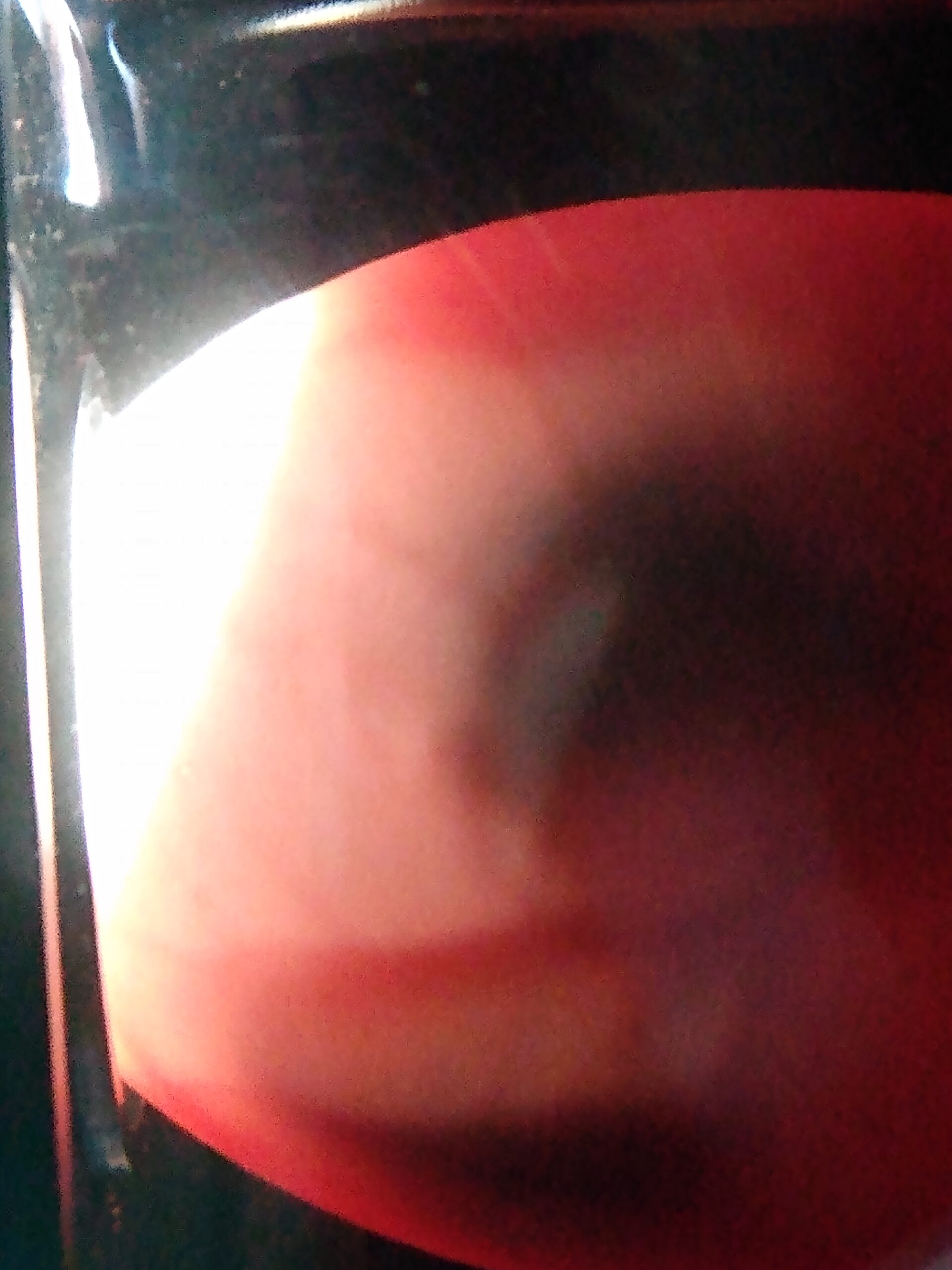 Brinsea Ovascope Egg Viewer,1360060 customer photo 2