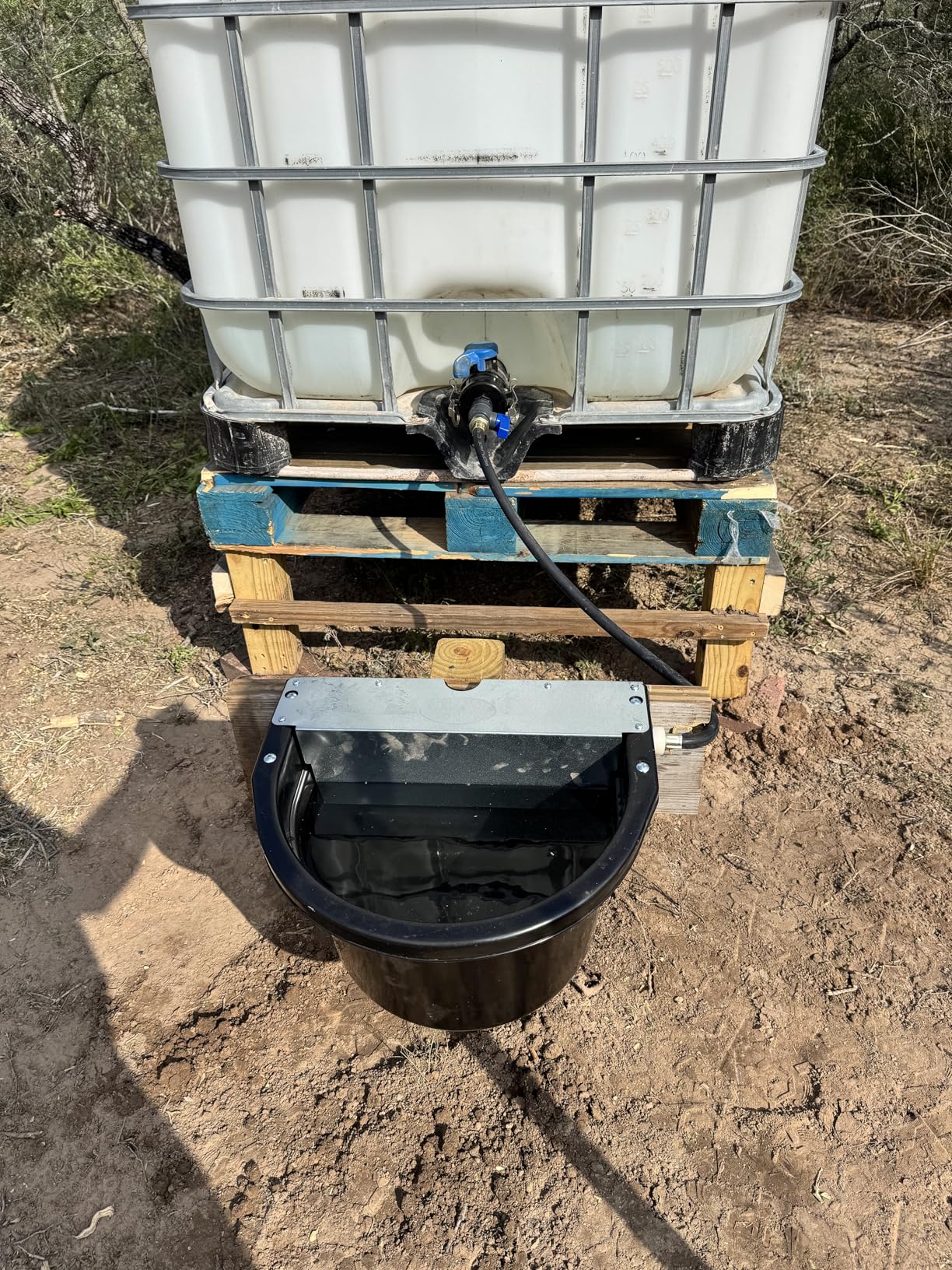 Little Giant Automatic Animal Waterer | Float Controlled Automatic Waterer for Livestock | Heavy Duty and Durable | Made in USA | 4 Gallon | Black customer photo 1