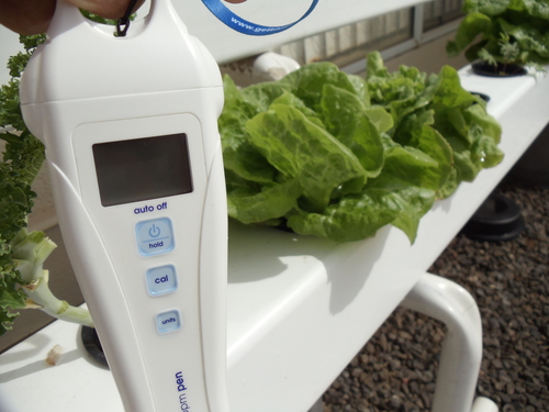 Bluelab PENCON Conductivity Pen and Digital TDS Meter, Water Tester for Temperature and Nutrient (CF, EC, PPM 500, PPM 700) customer photo 1