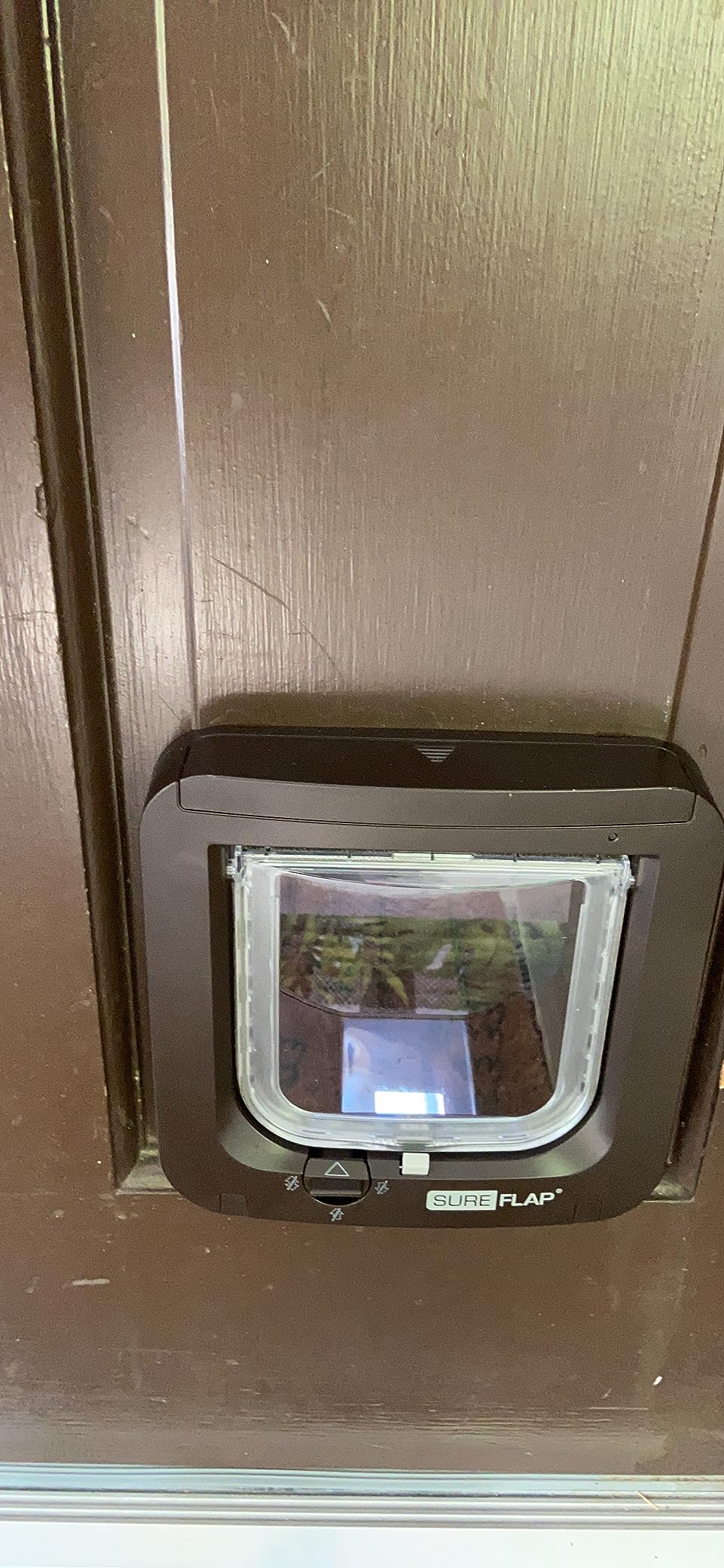 SureFlap Microchip Cat Flap customer photo 2