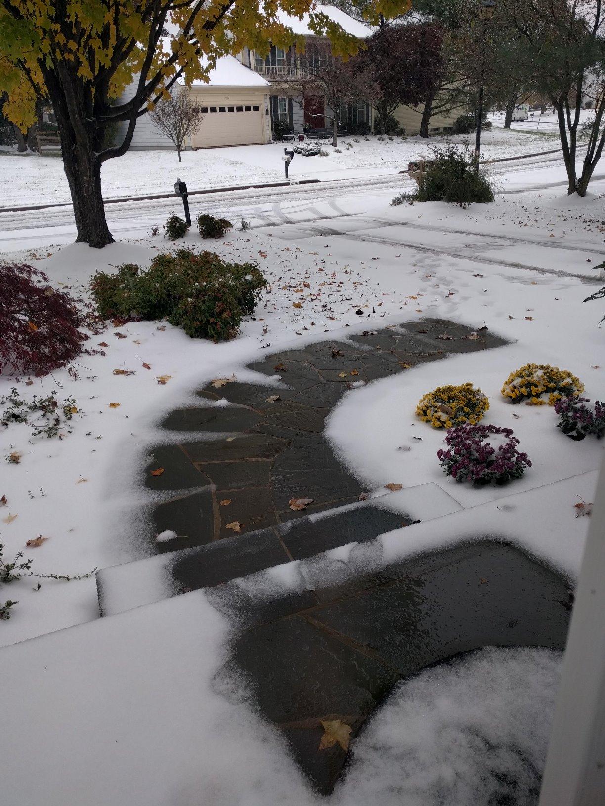 WarmlyYours 2x50 ft. Electric Ice and Snow Melting Mat 240V 5009 Watts - Embedded Under Asphalt, Concrete, or Pavers - Radiant Heated Driveway, Walkways, Sidewalks, Patios, Porch, Ramps PowerMat customer photo 1