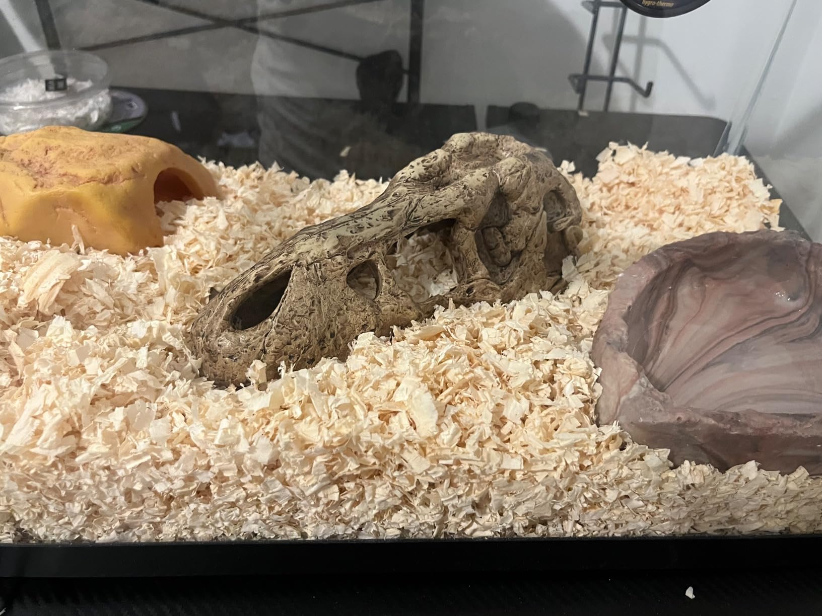 Exo Terra Crocodile Skull Terrarium Decor customer photo 2