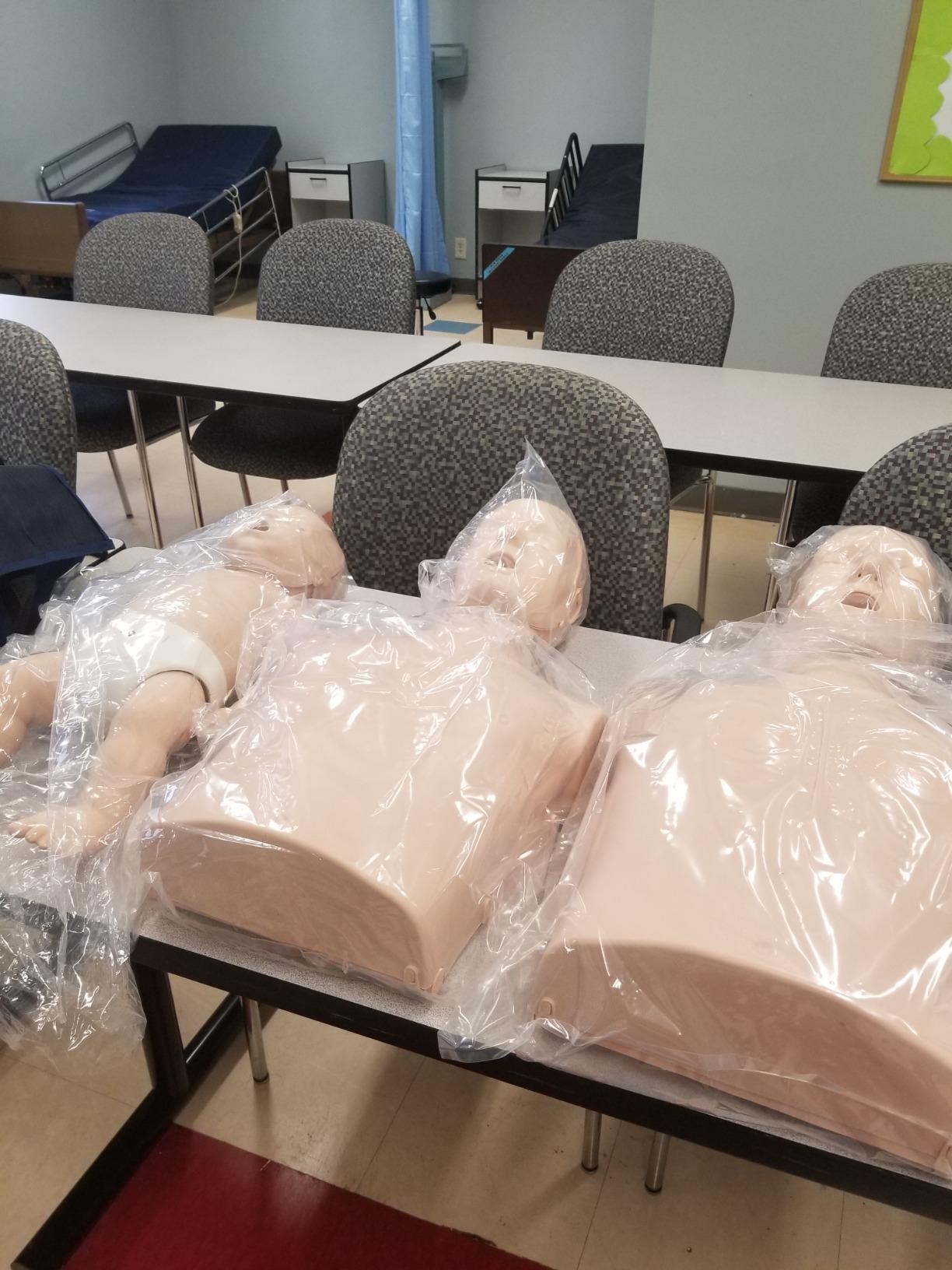 Collection of CPR Manikins (Adult, Child, & Infant), Medium Skin Tone customer photo 2
