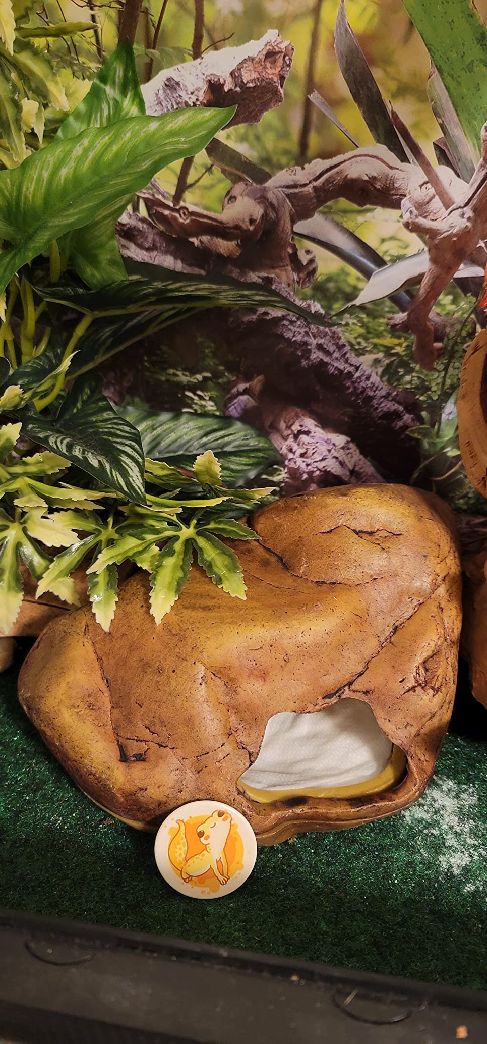 Exo Terra Gecko Cave for Reptiles and Amphibians, Reptile Hideout, Medium customer photo 1