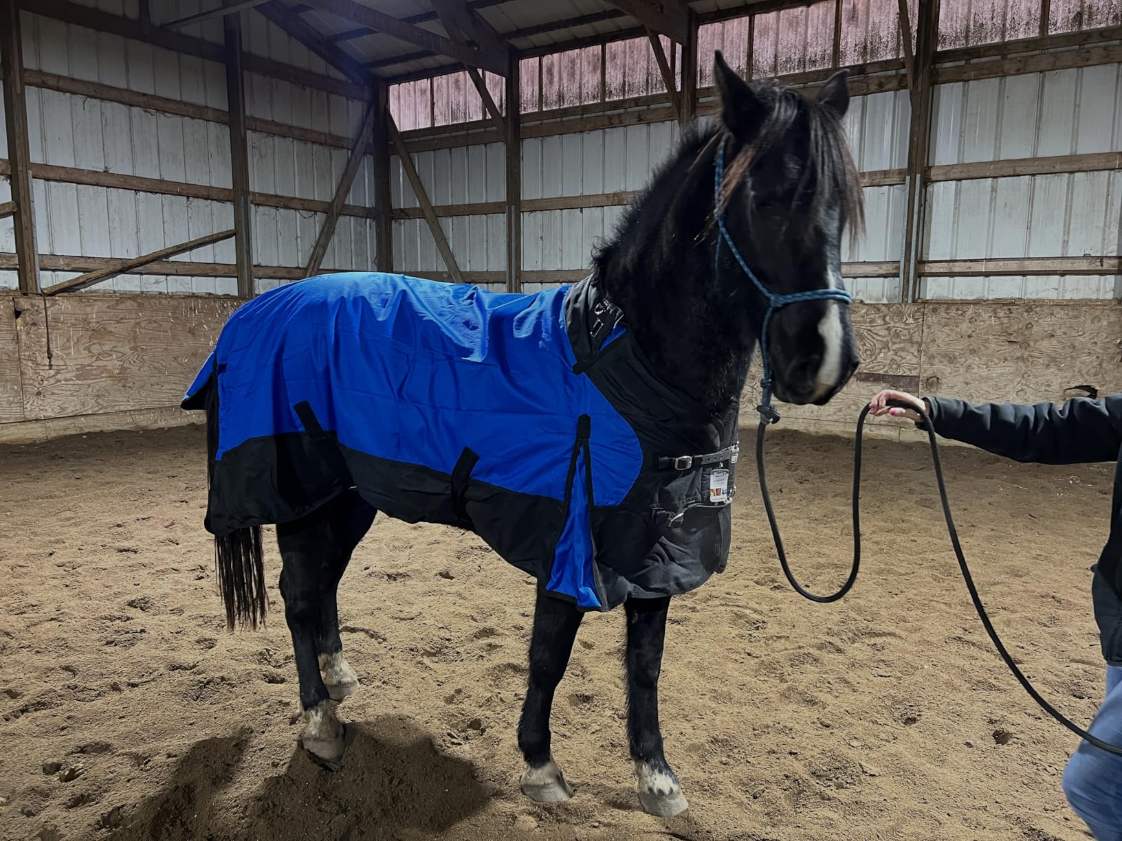 Tough 1 1200D Snuggit Turnout 300g 75In Purple customer photo 1