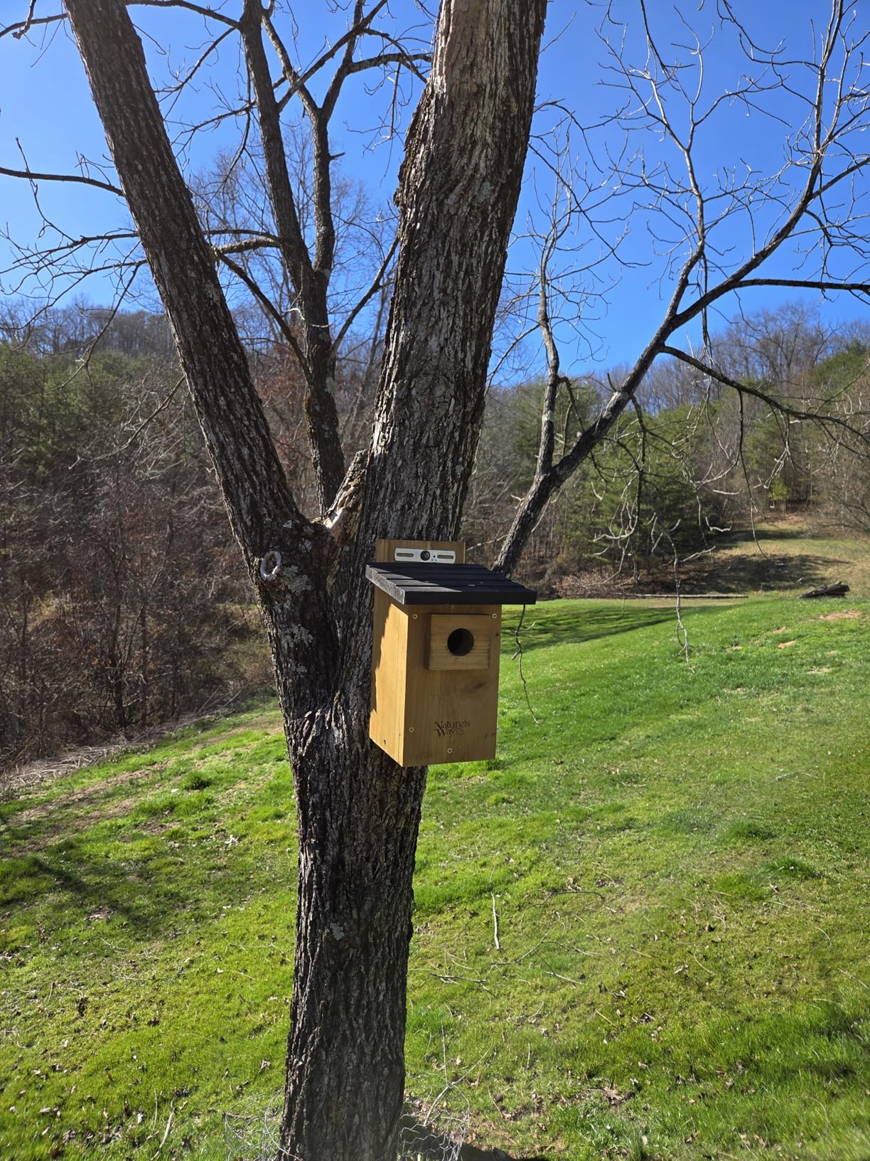 Nature's Way Bird Products CWH4 Cedar Bluebird Viewing House customer photo 1