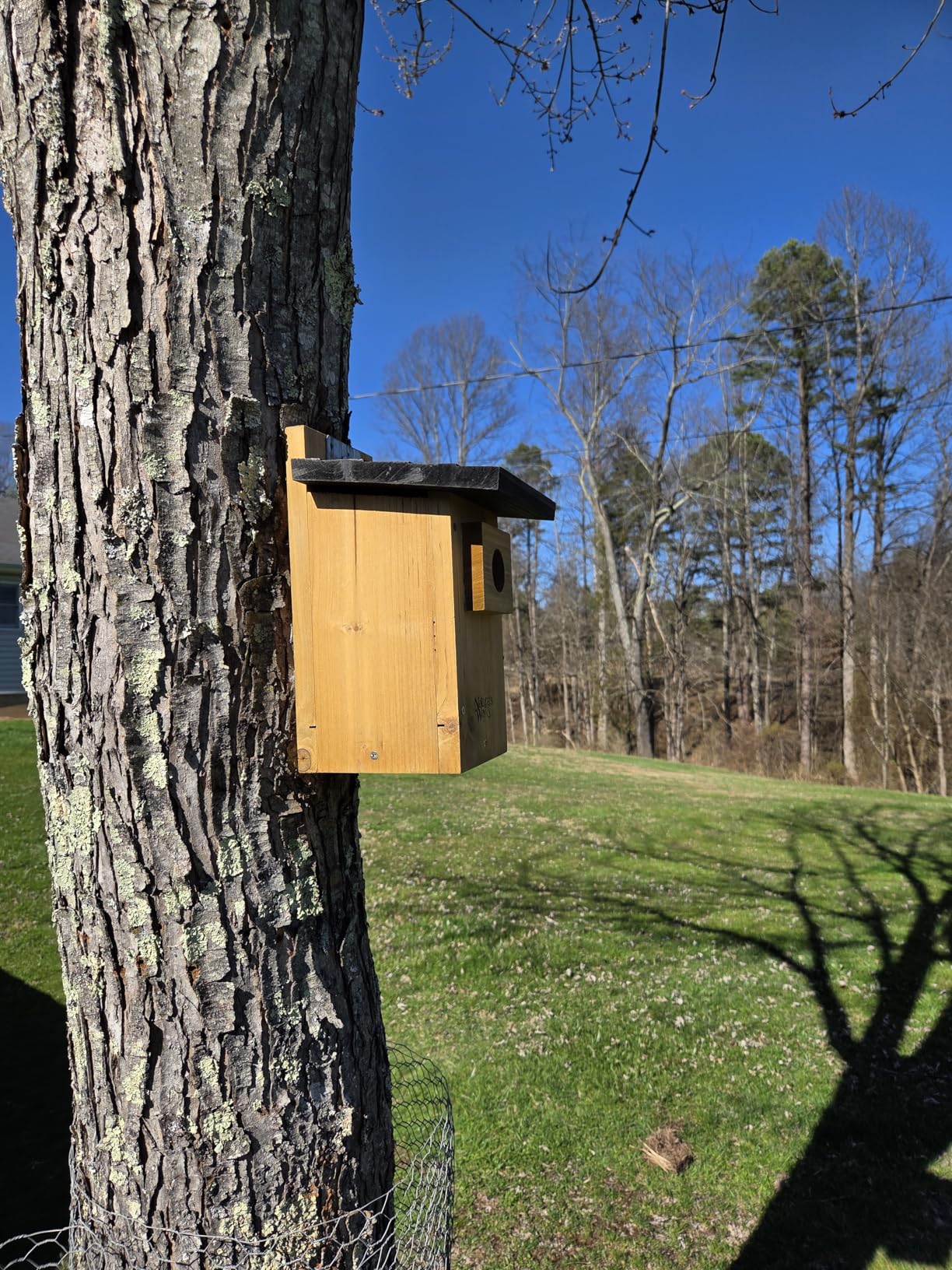 Nature's Way Bird Products CWH4 Cedar Bluebird Viewing House customer photo 2