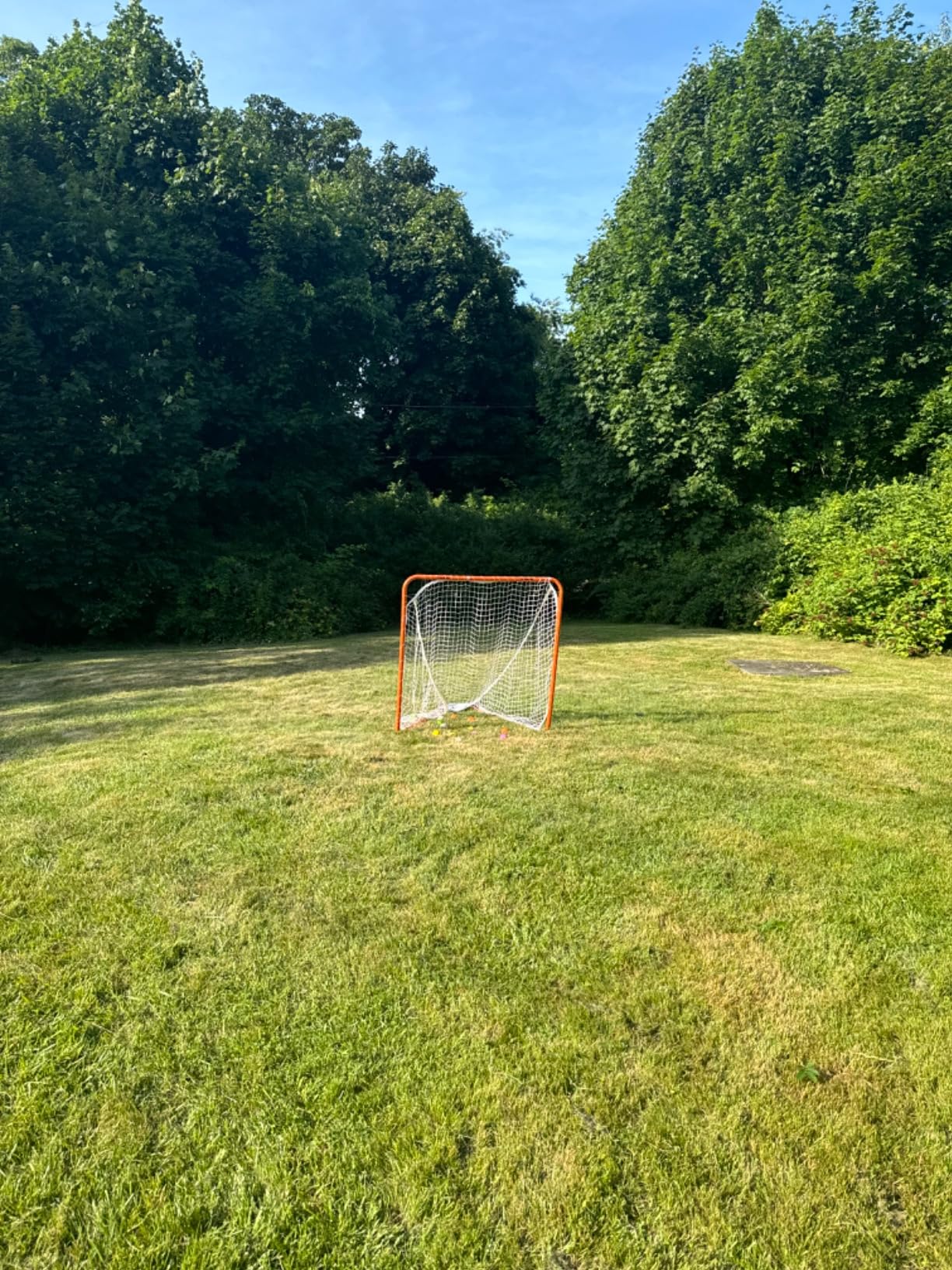 Franklin Sports Franklin Sports Backyard Lacrosse Goal - Kids + Adult Lacrosse Training Net - Lacrosse Training Equipment - Perfect for Youth + Adult Training customer photo 1