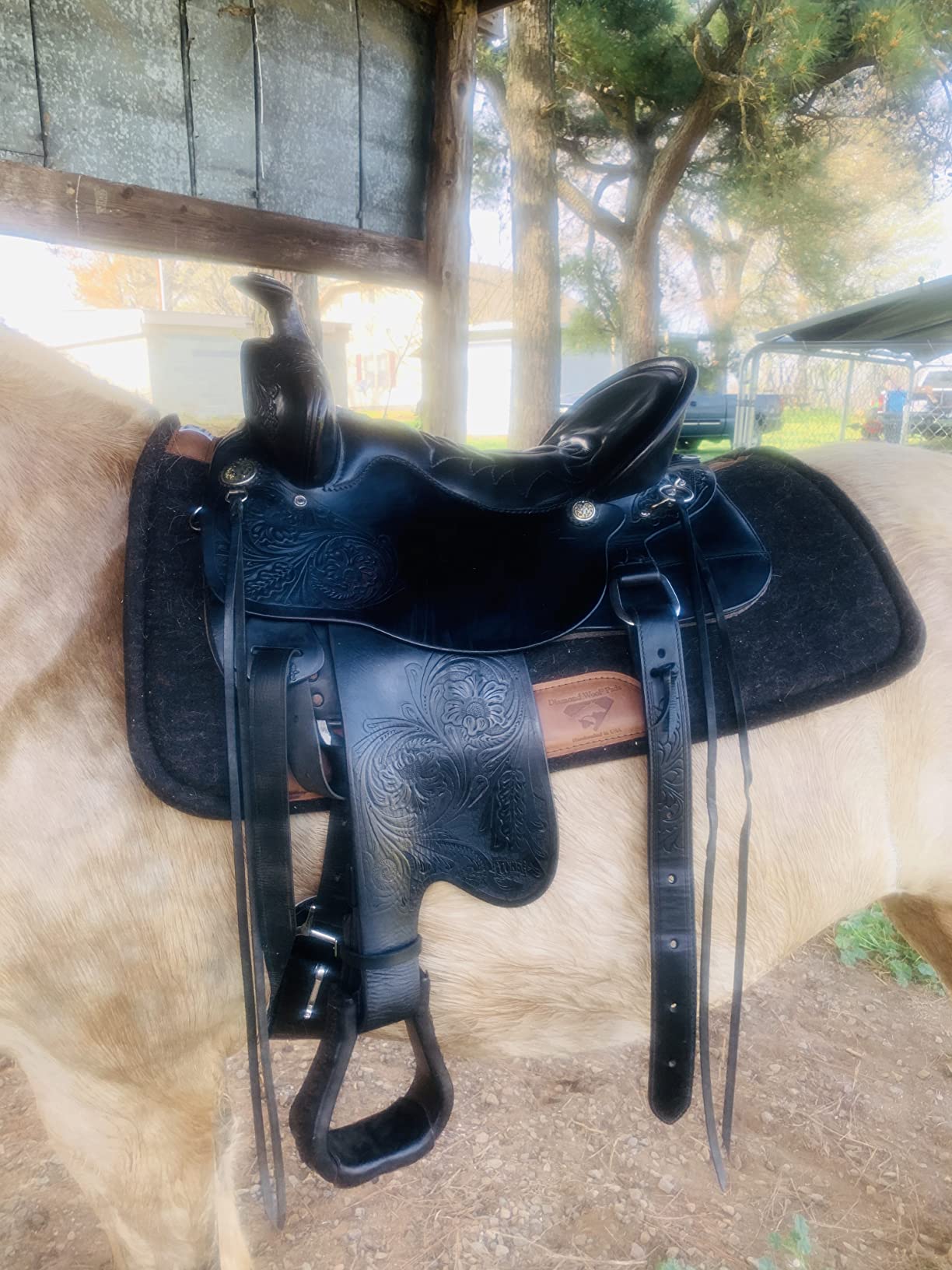 Diamond Wool Contour Felt Ranch Pad 32X32 customer photo 1