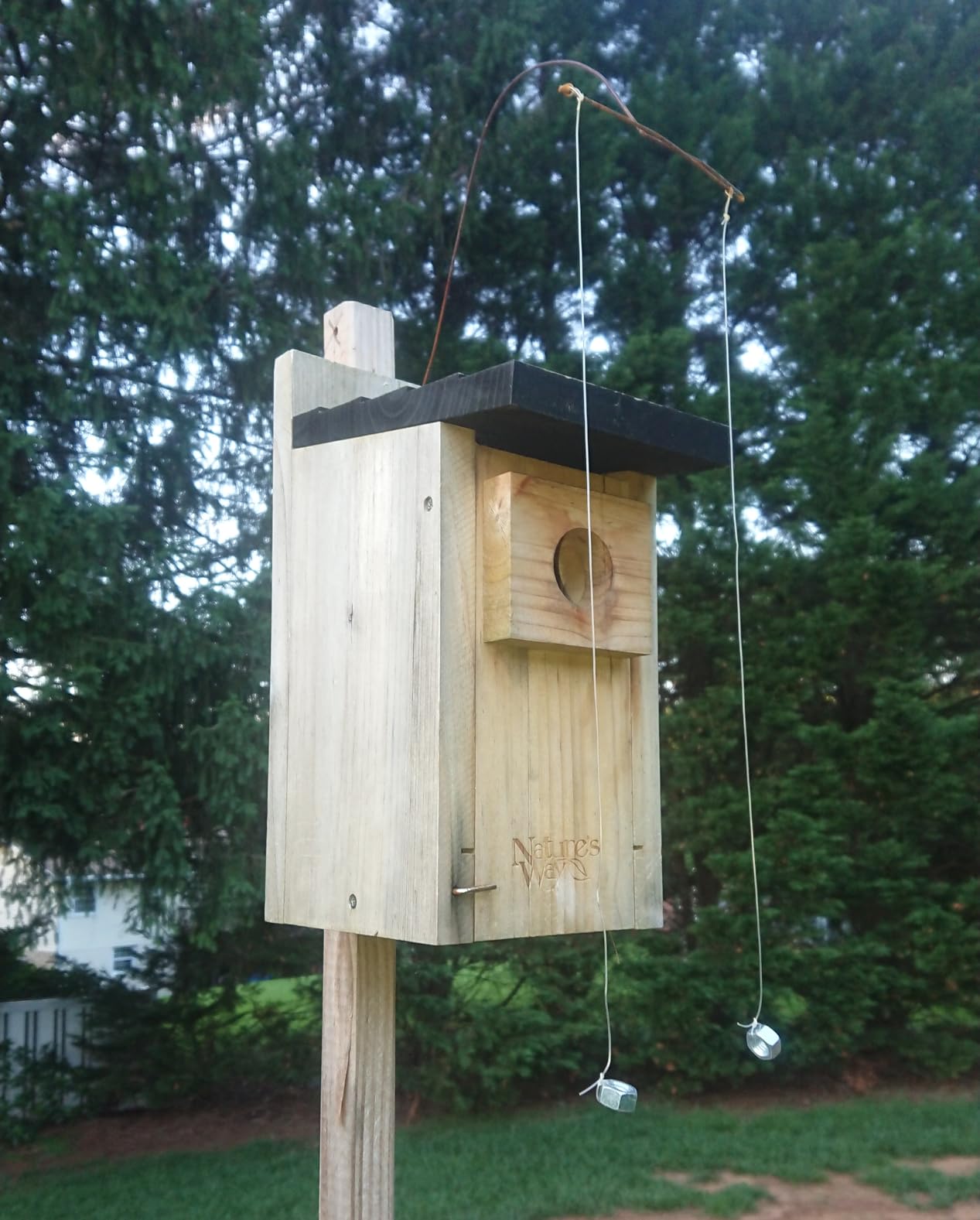 Nature's Way Bird Products CWH3 Cedar Bluebird Box House customer photo 2