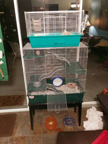 Kaytee My First Home Multi-Level Exotics Habitat for Pet Chinchillas, Rats, Degus, Sugar Gliders and Other Exotic Small Animals customer photo 1