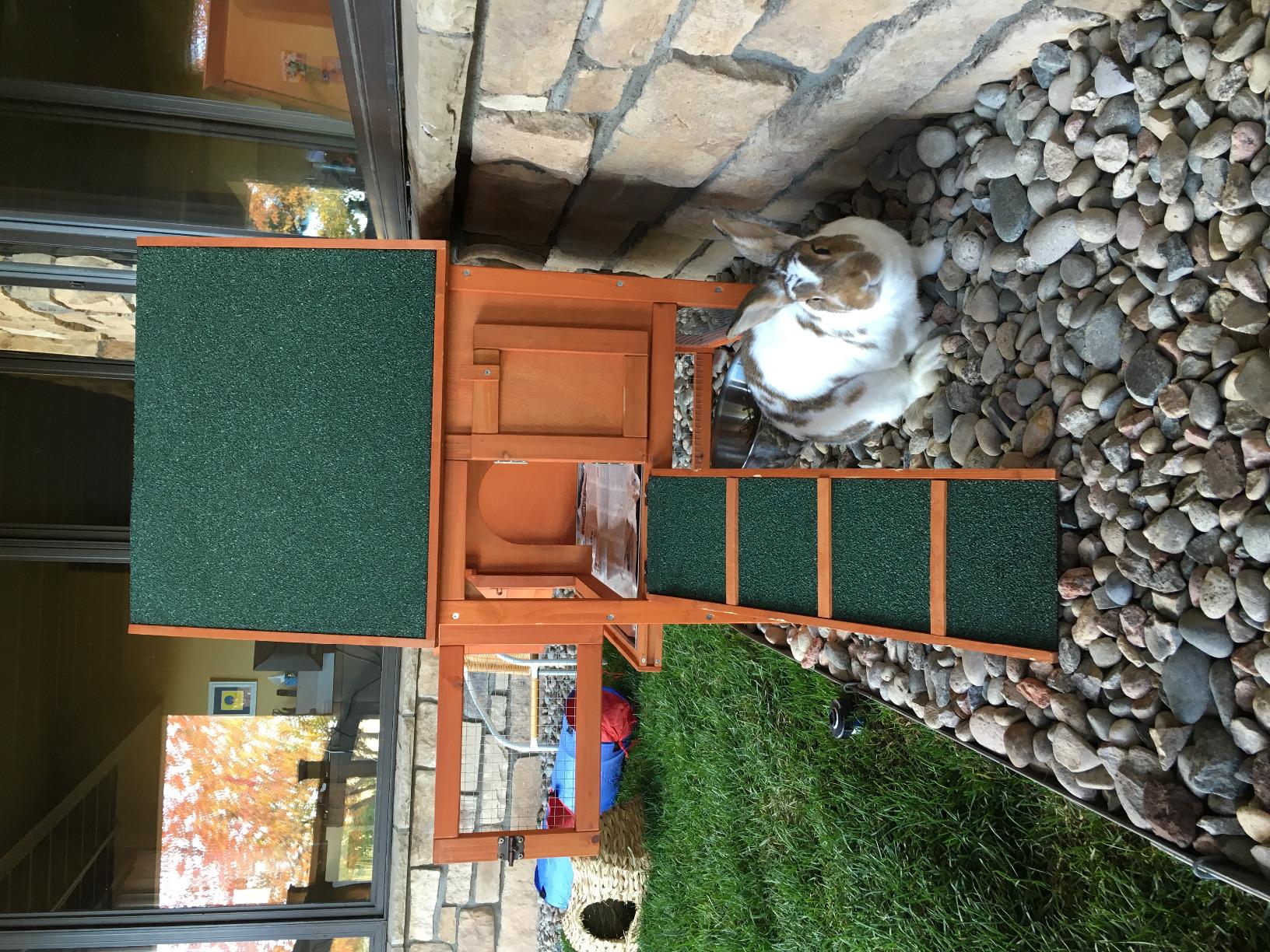 TRIXIE Natura Outdoor Rabbit Hutch with Run - Small 2-Story Rabbit Cage with Non-Slip Ramp - Elevated Small Animal House with Secure Playpen, Hinged Roof & Pull-Out Tray customer photo 1
