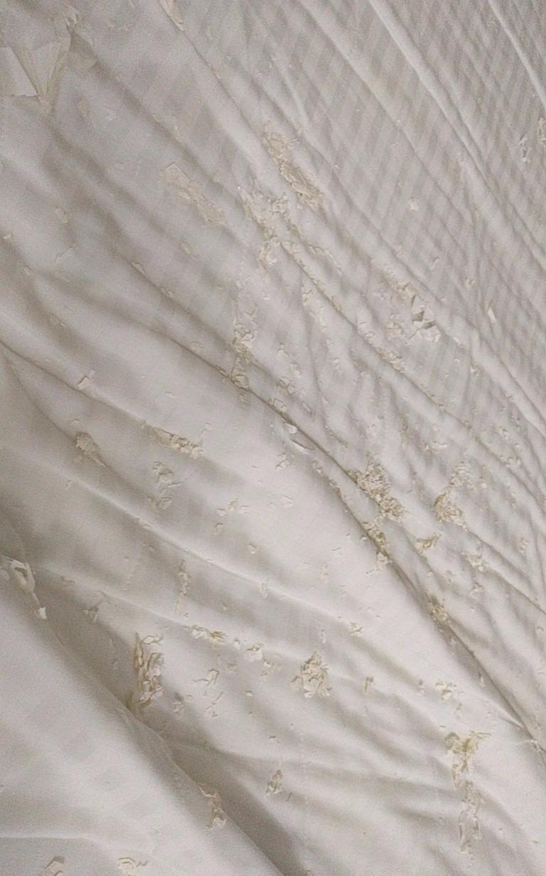 SureGuard Queen Size Mattress Protector - 100% Waterproof, Hypoallergenic - Premium Fitted Cotton Terry Cover White customer photo 1