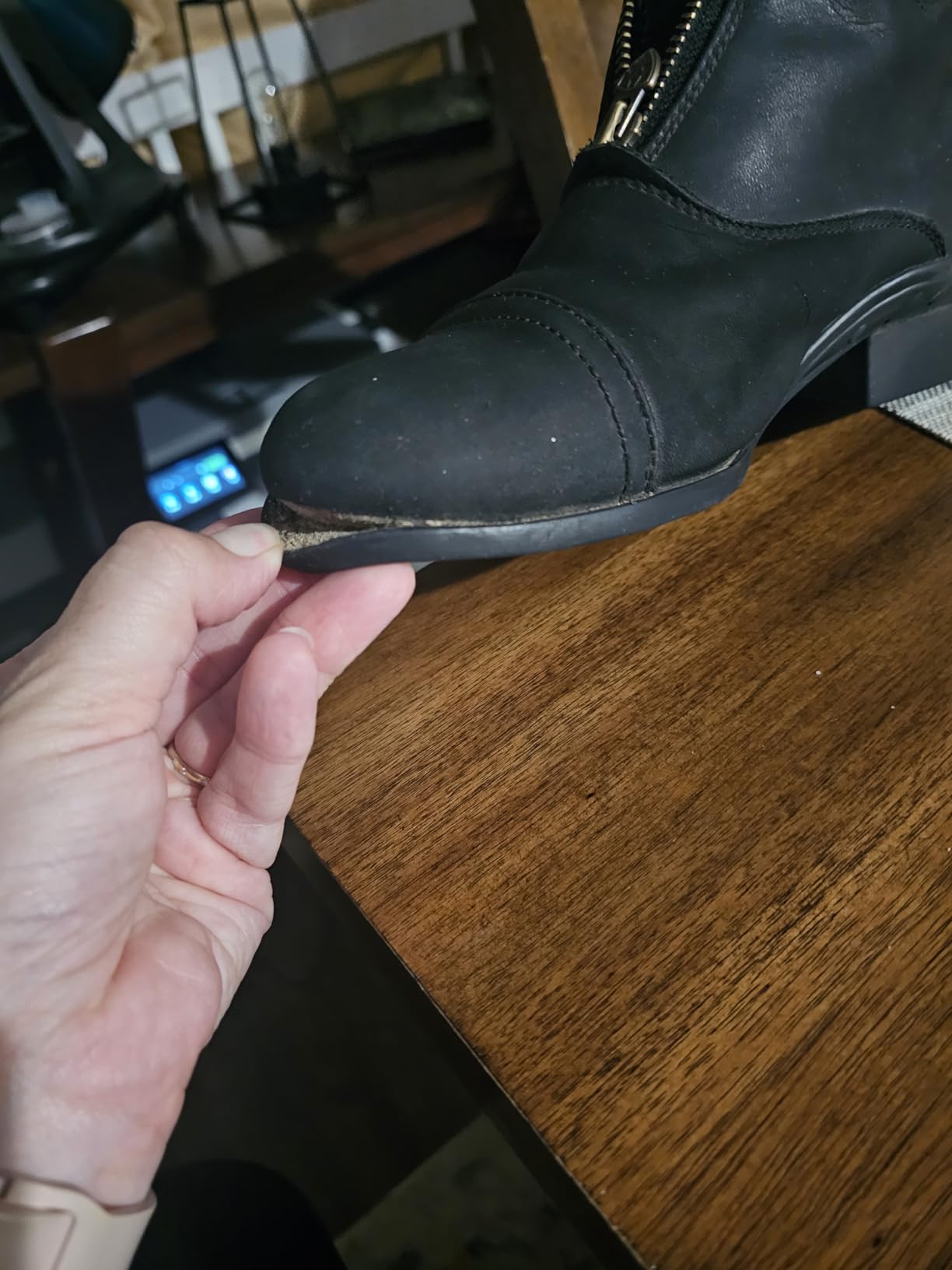 Ariat Women's Scout Zip Paddock Boot customer photo 1