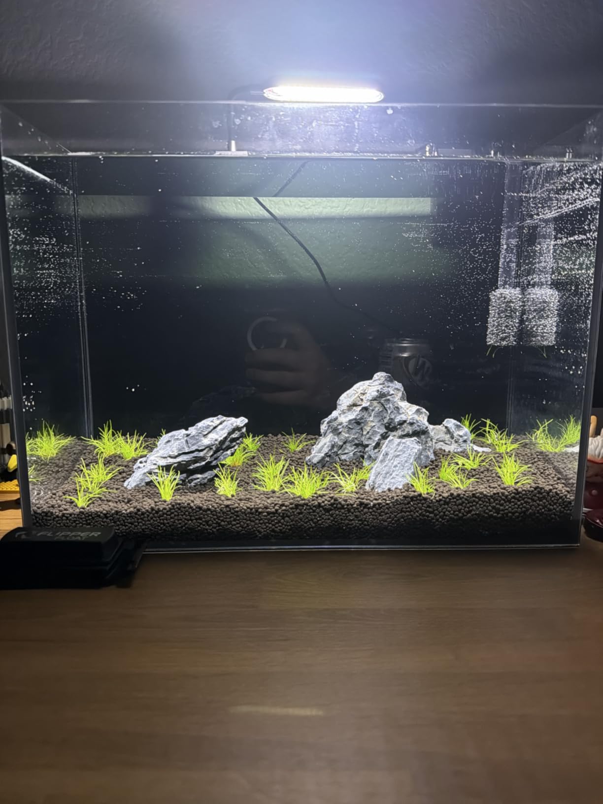 Fluval 12693 Plant and Shrimp Stratum for Freshwater Fish Tanks, 4.4 lbs. - Aquarium Substrate for Strong Plant Growth, Supports Neutral to Slightly Acidic pH customer photo 1