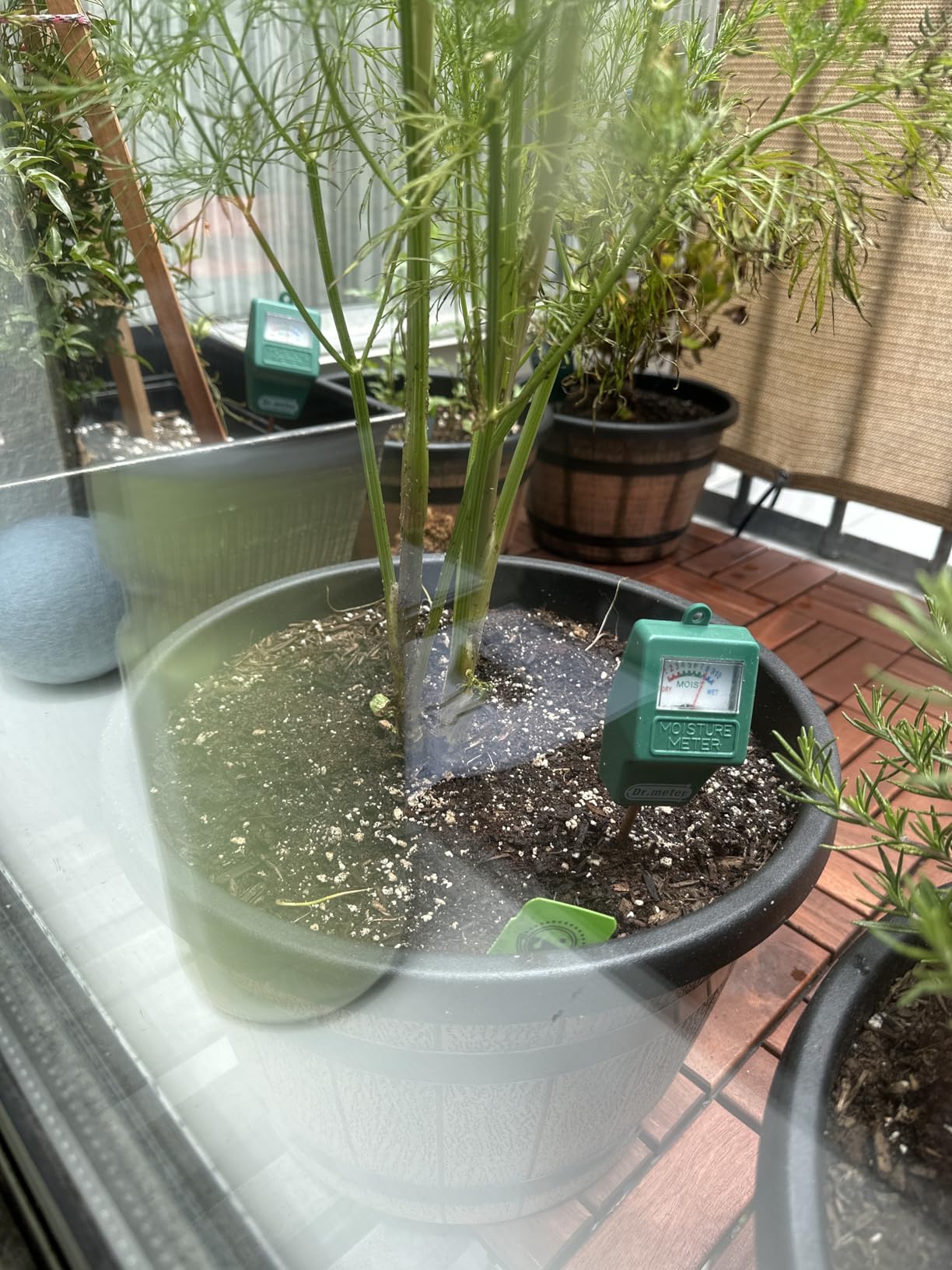 Dr.meter Soil Moisture Meter for Plants, Plant Water Gauge Test Kit customer photo 1