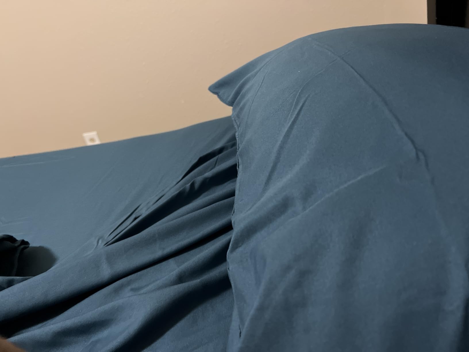 Amazon Basics Lightweight Super Soft Easy Care Wrinkle-Free Breathable Brushed Microfiber 3-Piece Bed Sheet Set customer photo 2