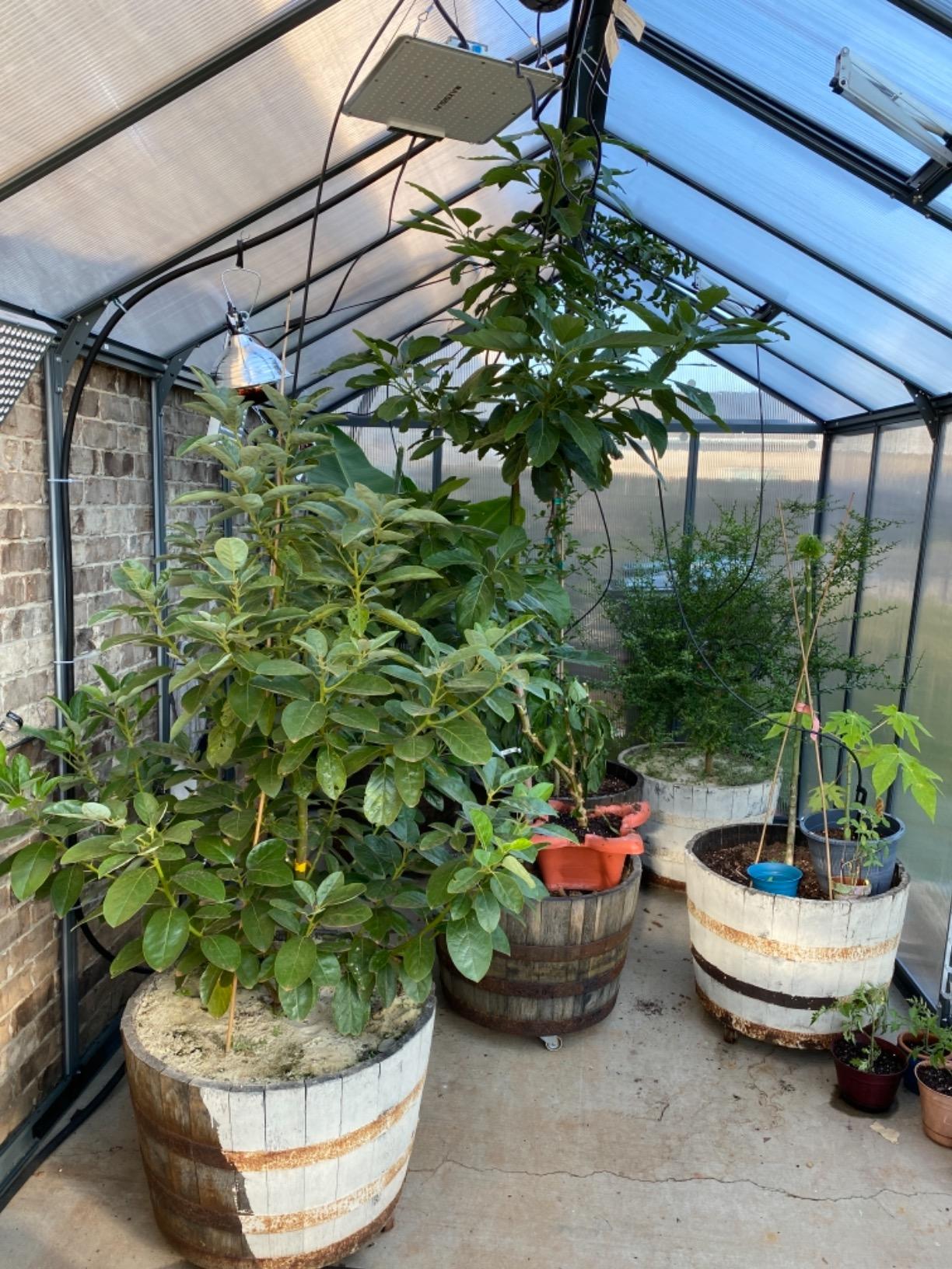 Palram - Canopia Glory 8 Ft. x 16 Ft. Greenhouse Kit Hobby DIY Walk In Green House Heavy Duty Polycarbonate with Aluminium Frame, with Lockable Door and Vent for Garden, Backyard (Gray) customer photo 2