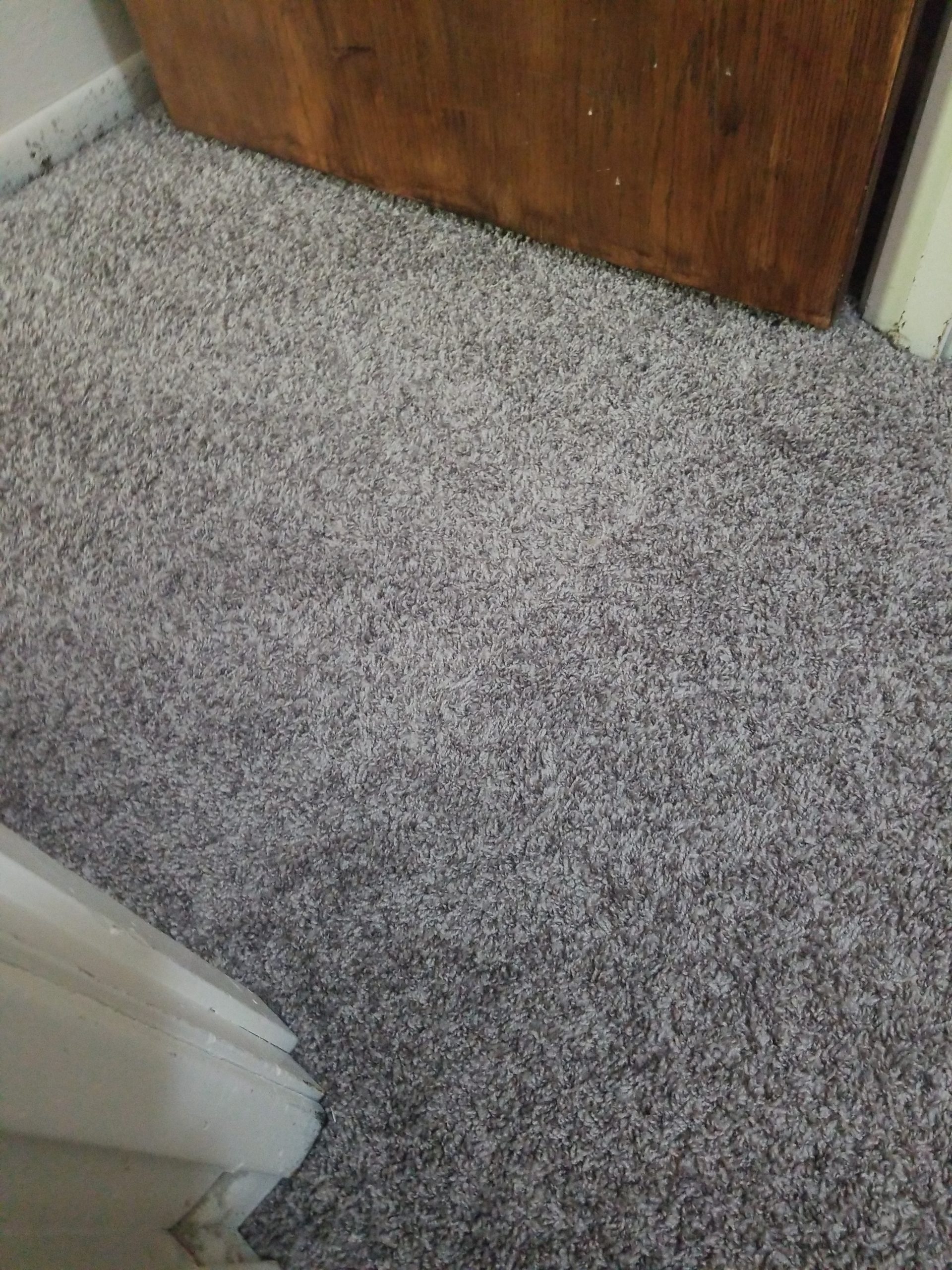 TruePower 709-1254 10-Inch Carpet Seaming Iron, 800-watt customer photo 2