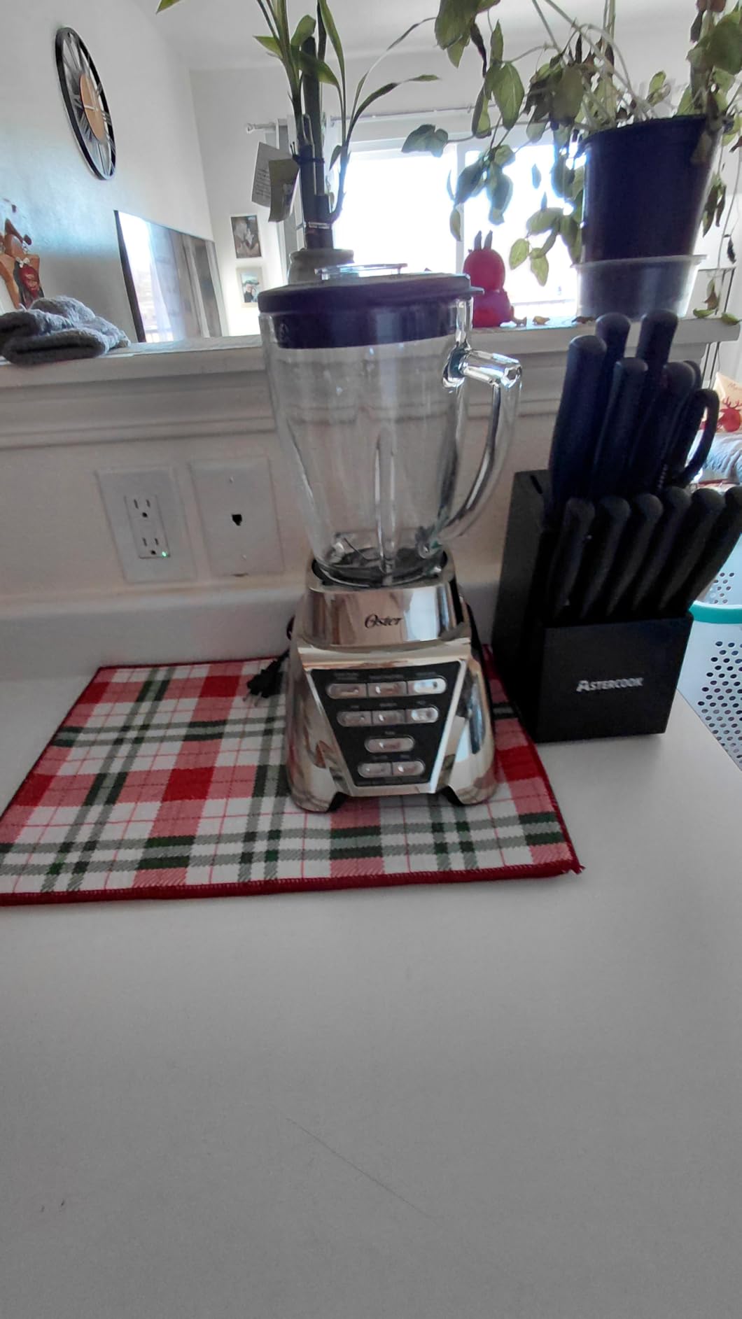 Oster Pro 1200 Smoothie Blender with Glass Jar & 24oz To-Go Cup, Countertop Kitchen Blender with 7 Speeds, 1200W Power, Brushed Nickel customer photo 2
