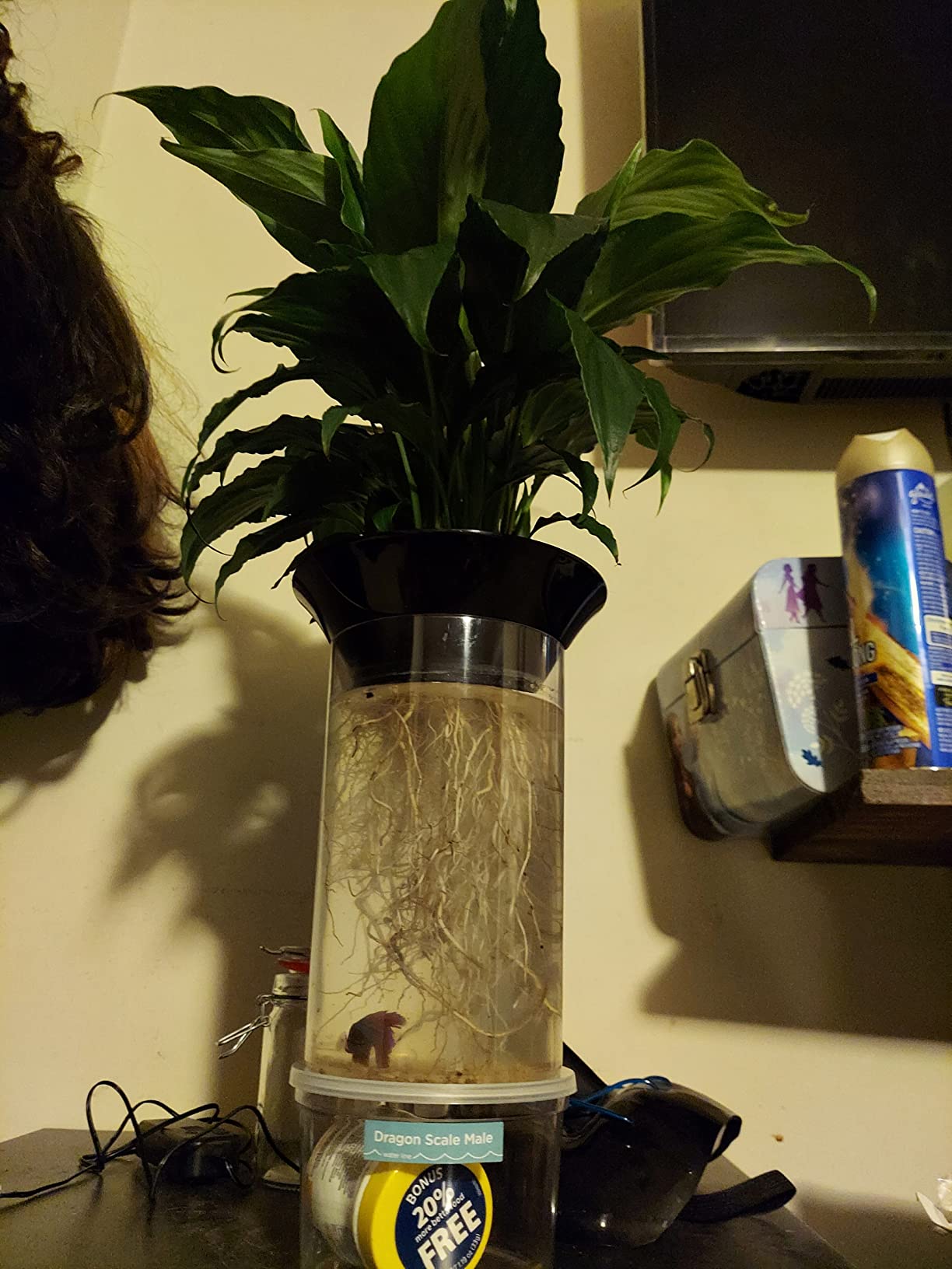 Penn-Plax Aquaponic Planter and Aquarium for Betta Fish Tank - Promotes Healthy Hydroponic Environment for Plants and Fish customer photo 2