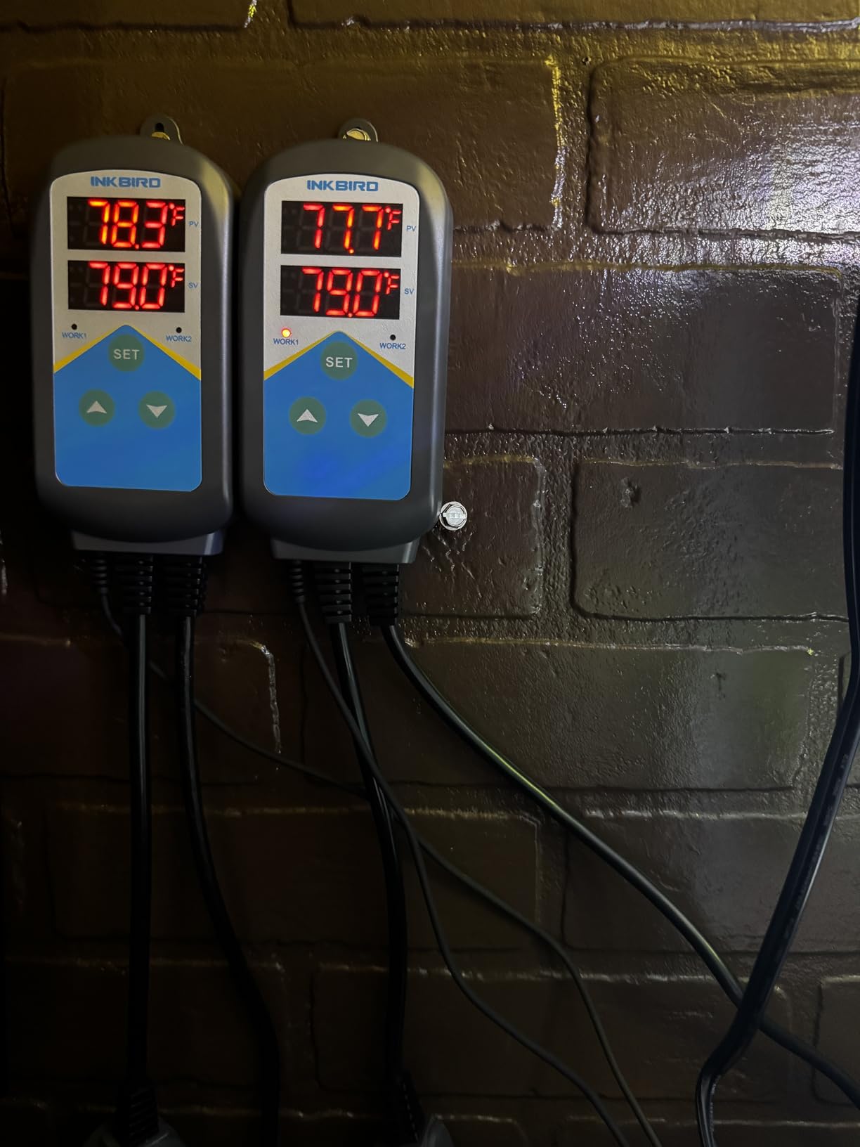 Inkbird ITC-306T Pre-Wired Electronic Heating Thermostat Temperature Controller and 24 Hours Digital Day & Night Cycle Timer Controller for Seed Germination Reptiles Hatching customer photo 1