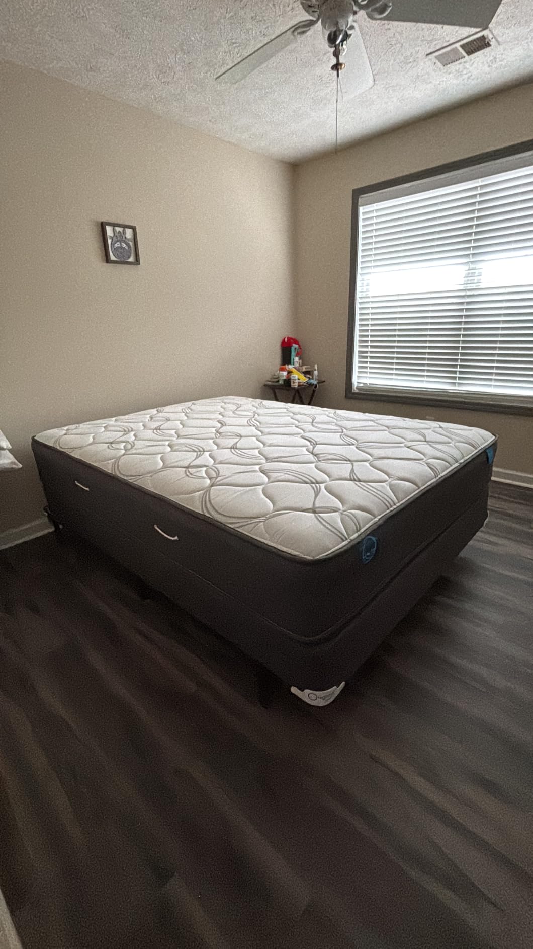 ZINUS Compack Metal Adjustable Bed Frame / 7 Inch Support Bed Frame for Box Spring and Mattress Set, Twin/Full/Queen customer photo 1
