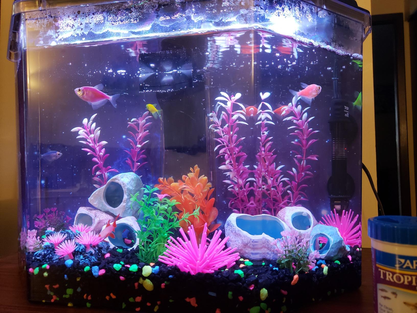 Koller Products 6.5-Gallon Aquarium Kit with Power Filter and LED Lighting customer photo 1