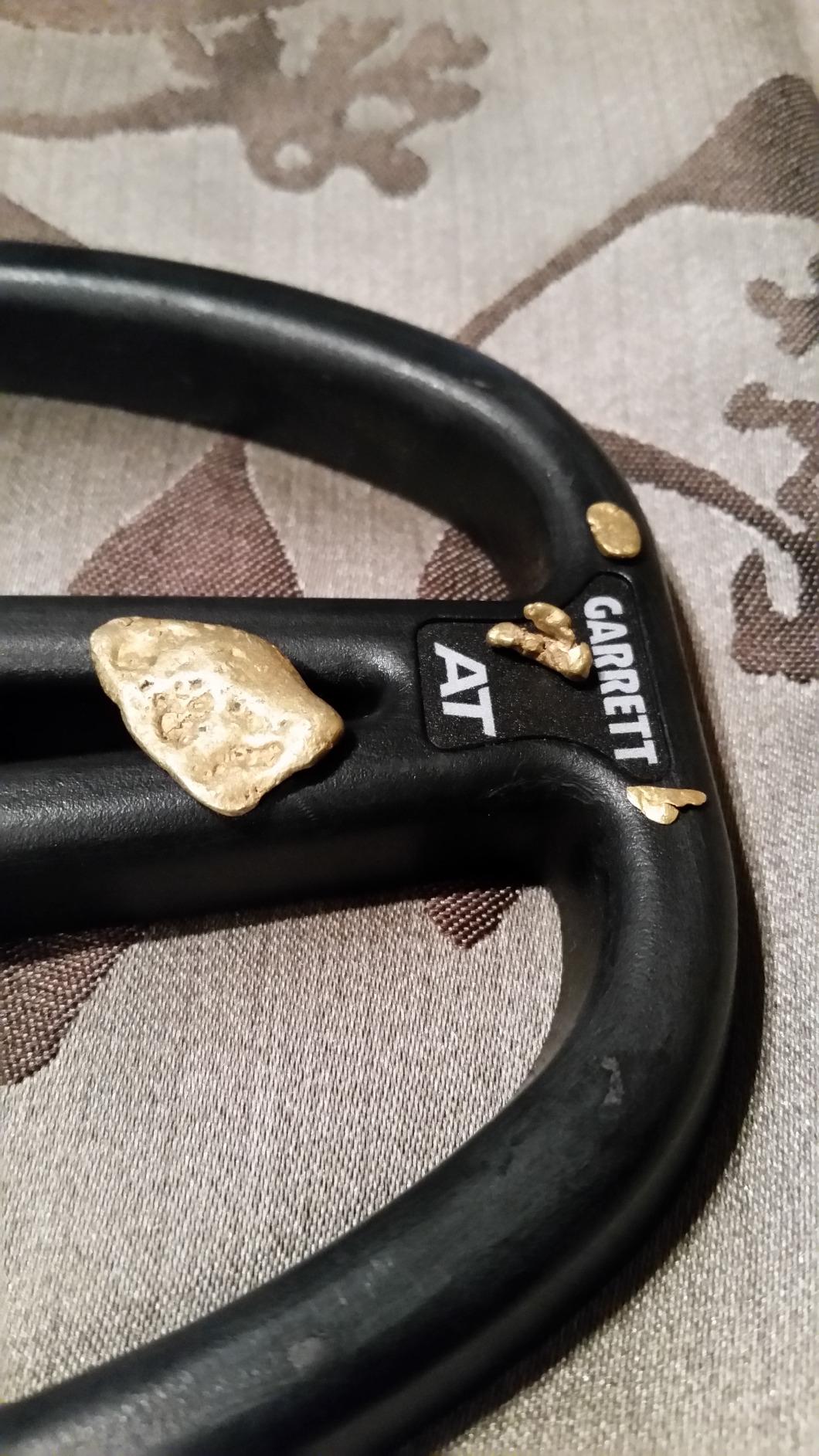 Garrett - A.T. Gold - Made in The USA - Waterproof Gold Metal Detector with Pinpointer and Headphones - All-Terrain Metal Detector with Iron Audio to Identify Junk Iron customer photo 1