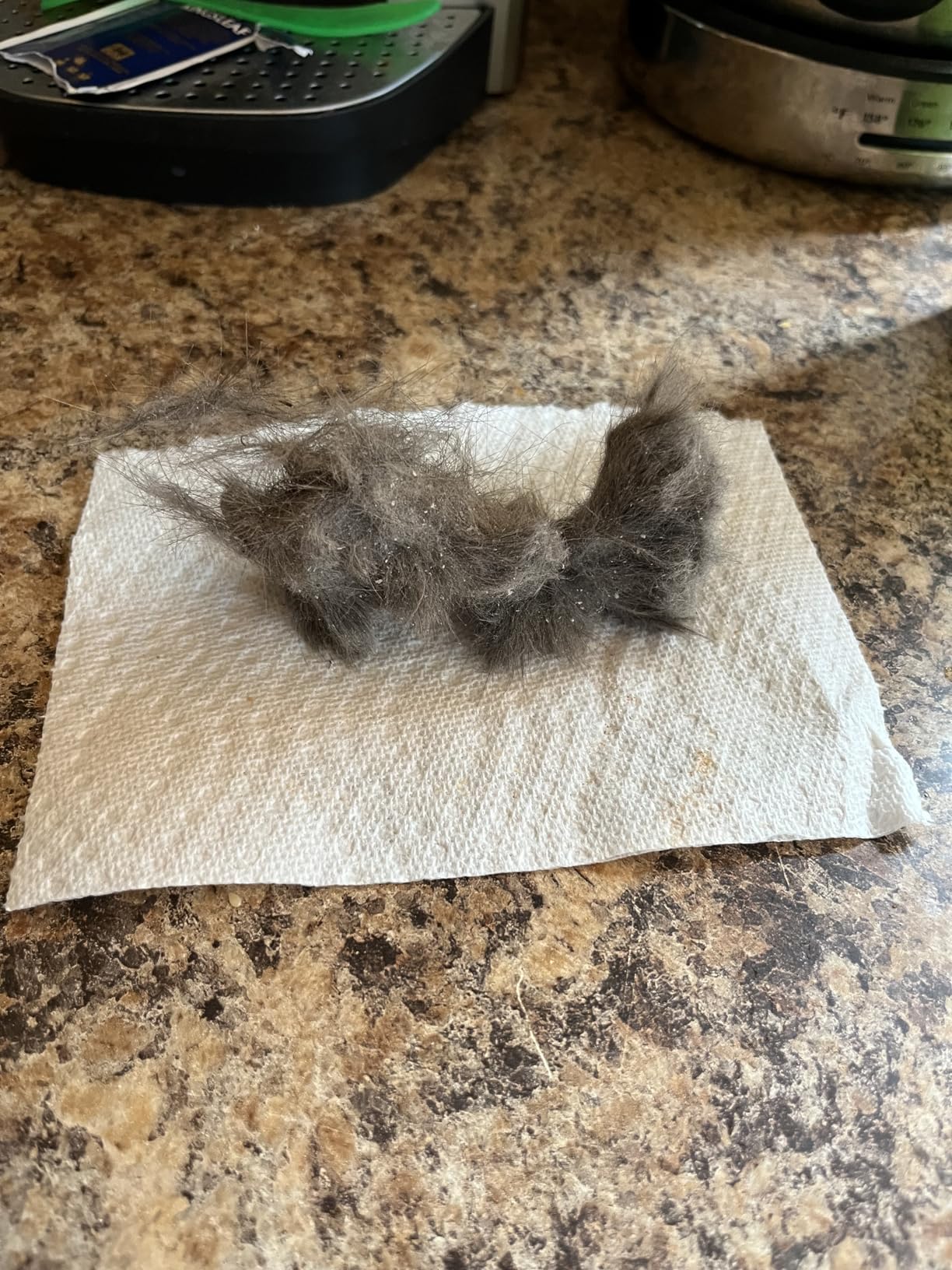 Pet Republique Matt Splitters Tool - Effective Mat Remover and De-matting Comb for Long-Haired Dogs, Cats, Rabbits - Regular 12+23 Teeth Design customer photo 1