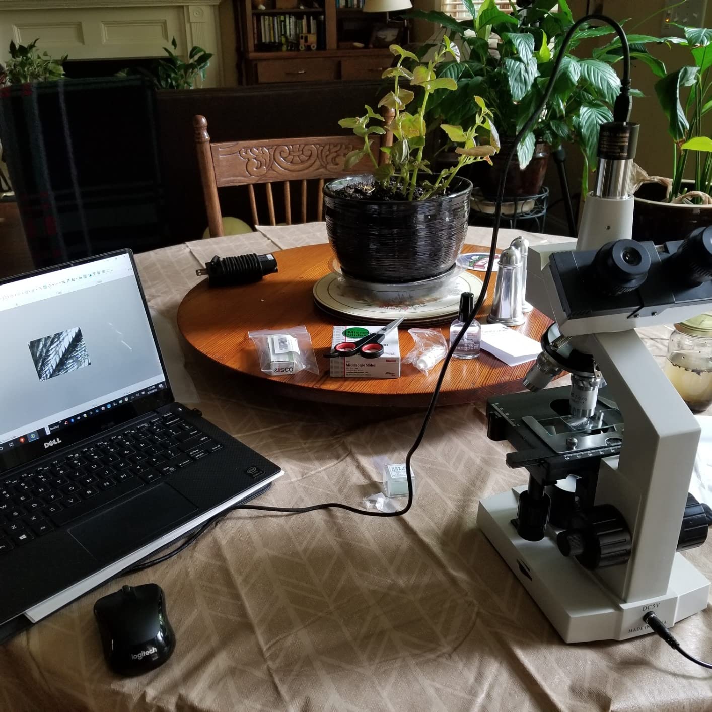 OMAX - 40X-2500X LED Digital Trinocular Lab Compound Microscope with USB Camera and Mechanical Stage - M83EZ-C03S customer photo 1