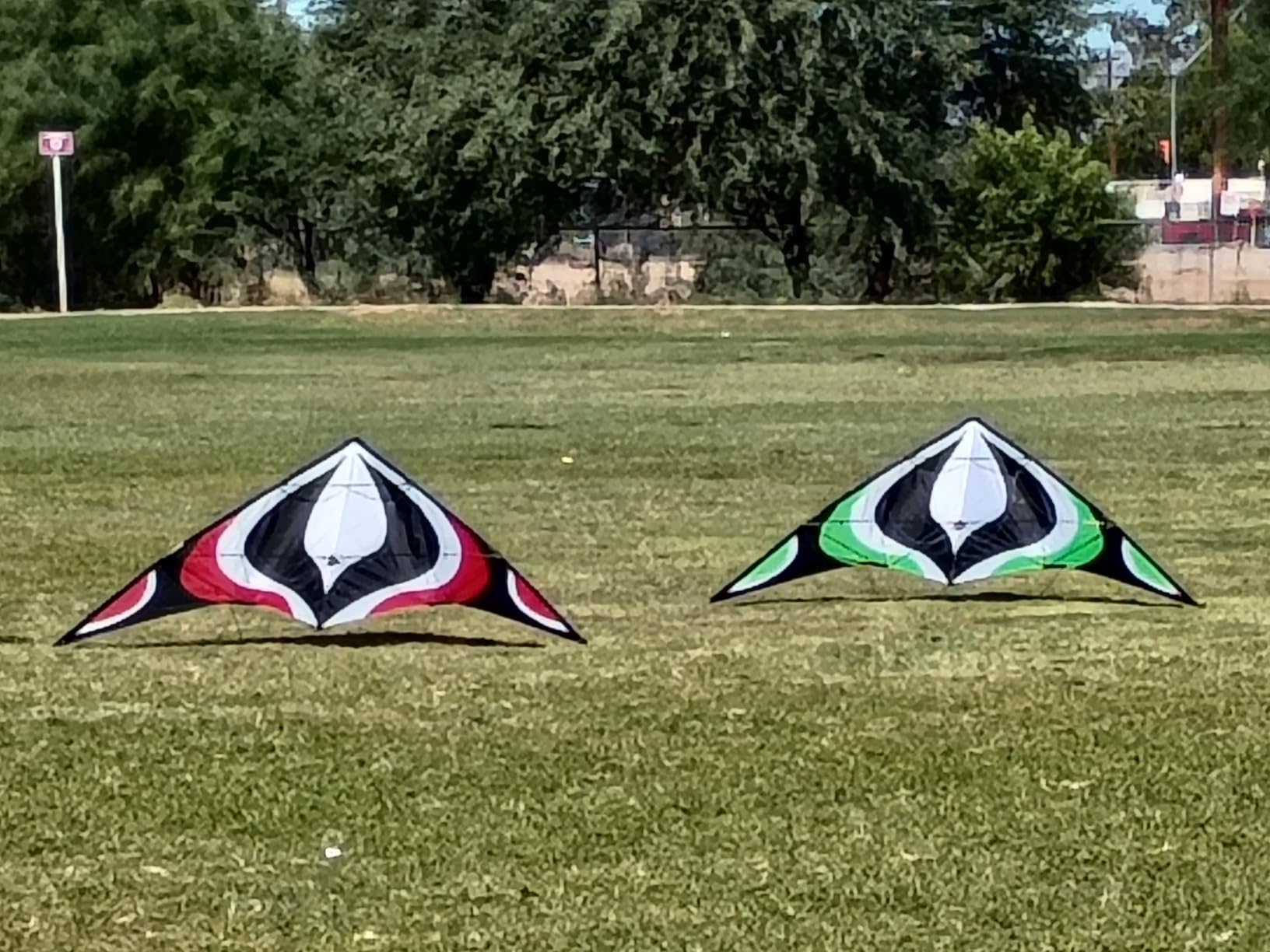 Babyeden Large Dual Line Stunt Kite, 84 Inch Wide Entry-Level Sport Kite for Adults and Teenagers customer photo 1