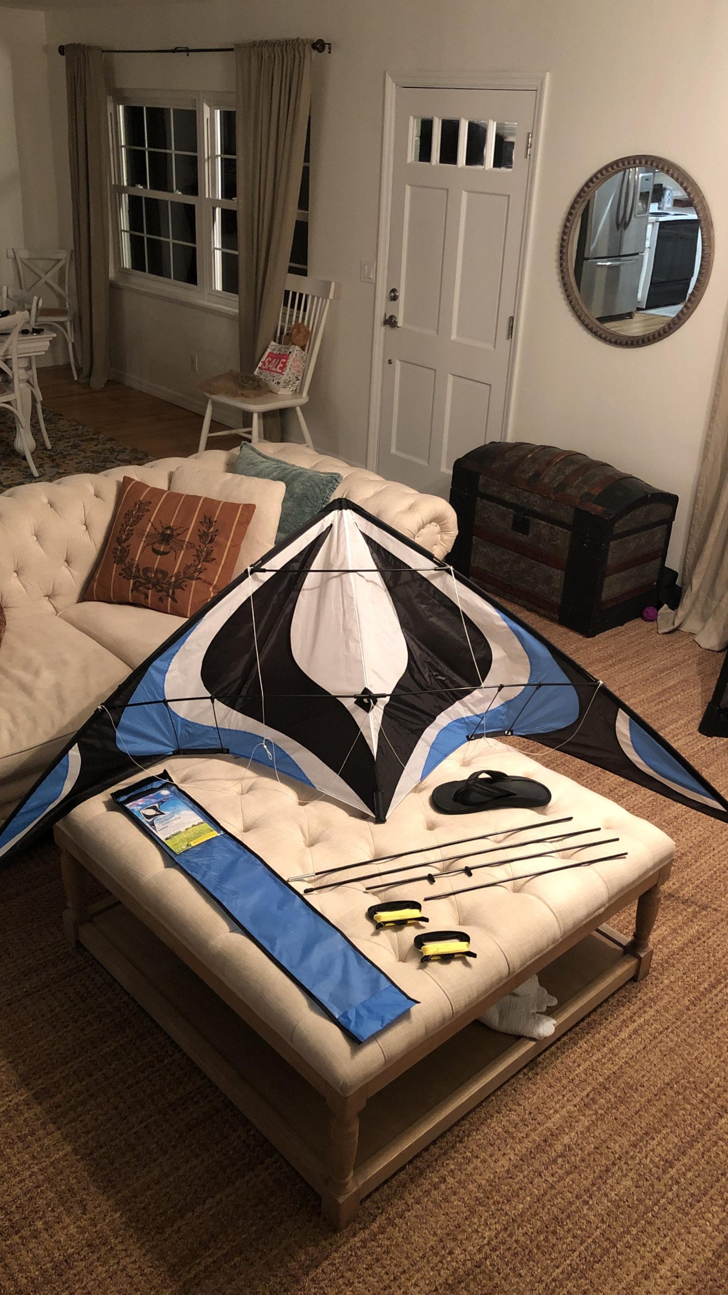 Babyeden Large Dual Line Stunt Kite, 84 Inch Wide Entry-Level Sport Kite for Adults and Teenagers customer photo 2