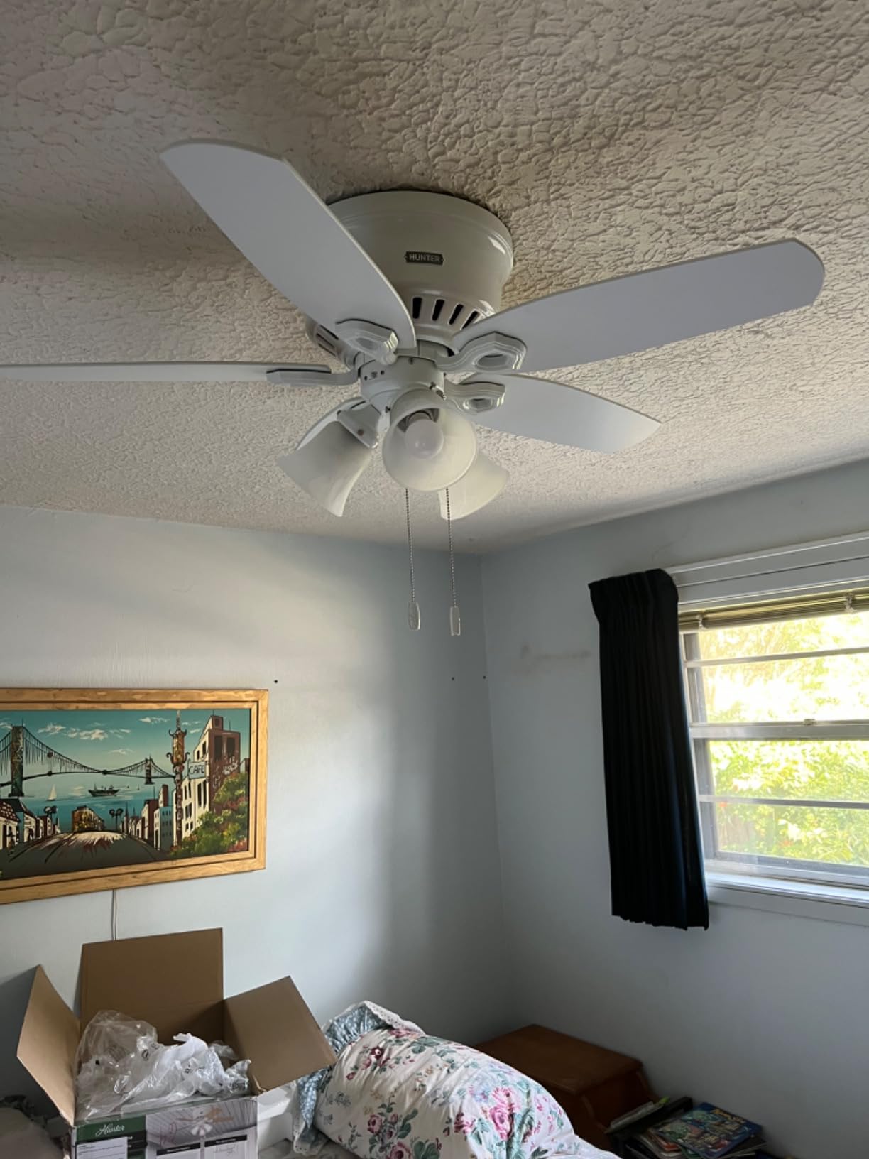 Hunter 42 inch Indoor Ceiling Fan with LED Lights - Bronze Ceiling Fan with Pull Chain, For Bedroom, Living Room, or Kitchen, Low Profile Mount, No Remote, 5 Blades - Builder 51091, New Bronze customer photo 1