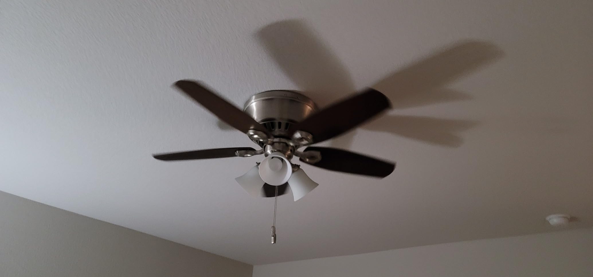 Hunter 42 inch Indoor Ceiling Fan with LED Lights - Bronze Ceiling Fan with Pull Chain, For Bedroom, Living Room, or Kitchen, Low Profile Mount, No Remote, 5 Blades - Builder 51091, New Bronze customer photo 2