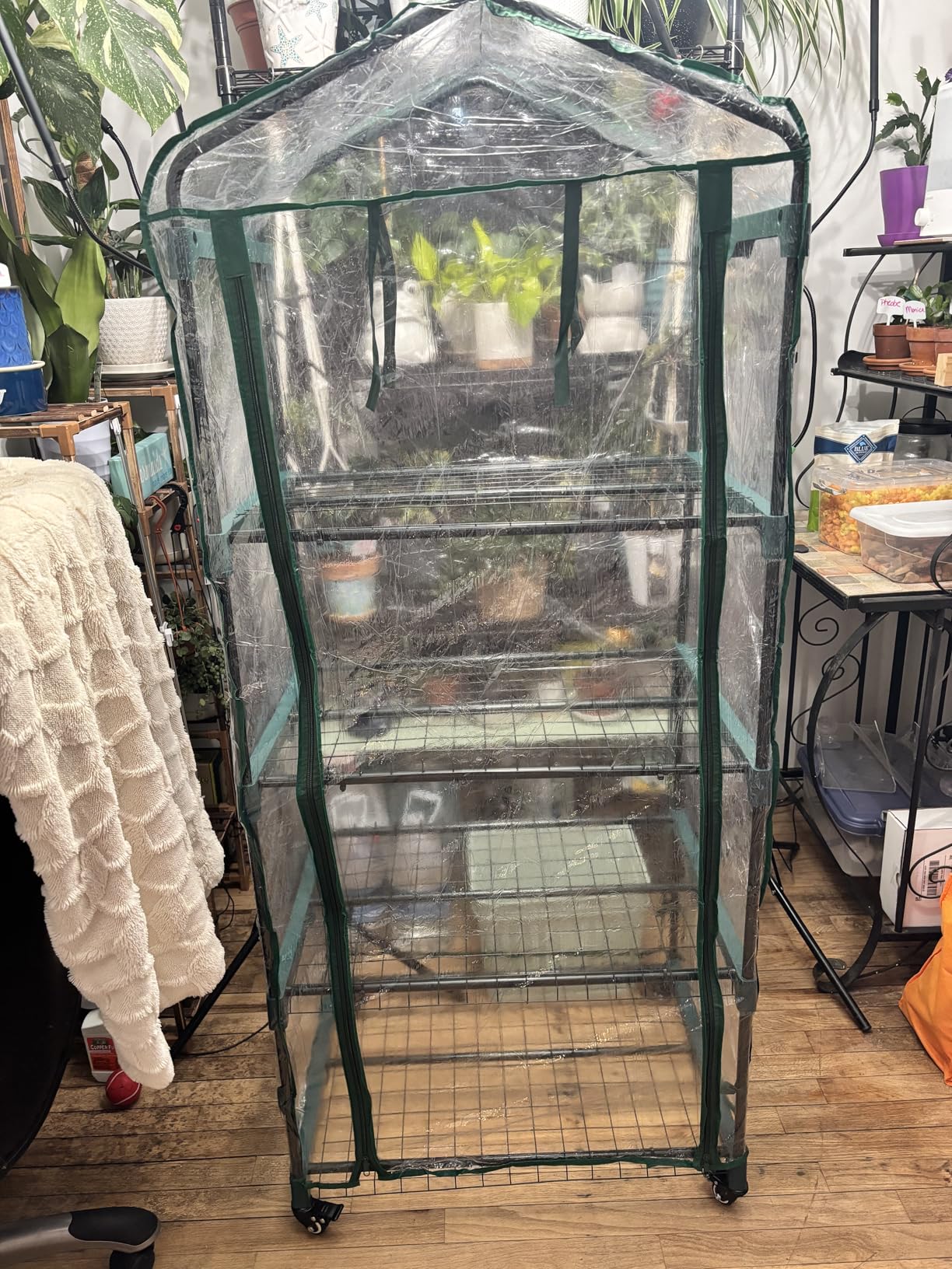 4 Tier Mini Greenhouse - Portable Greenhouse with Locking Wheels and PVC Cover for Indoor or Outdoor - 27 x 19 x 63-Inch Green House by Home-Complete customer photo 1