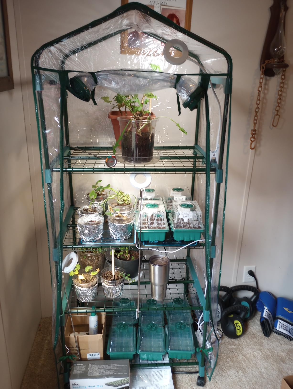 4 Tier Mini Greenhouse - Portable Greenhouse with Locking Wheels and PVC Cover for Indoor or Outdoor - 27 x 19 x 63-Inch Green House by Home-Complete customer photo 2