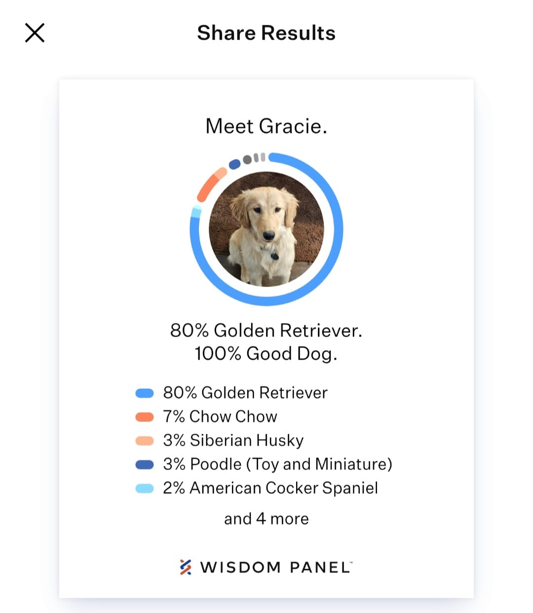 Wisdom Panel Breed Discovery Dog DNA Kit: Most Accurate Dog Breed Identification, Test for 365+ Breeds, MDR1 Health Test, Ancestry, Relatives customer photo 1