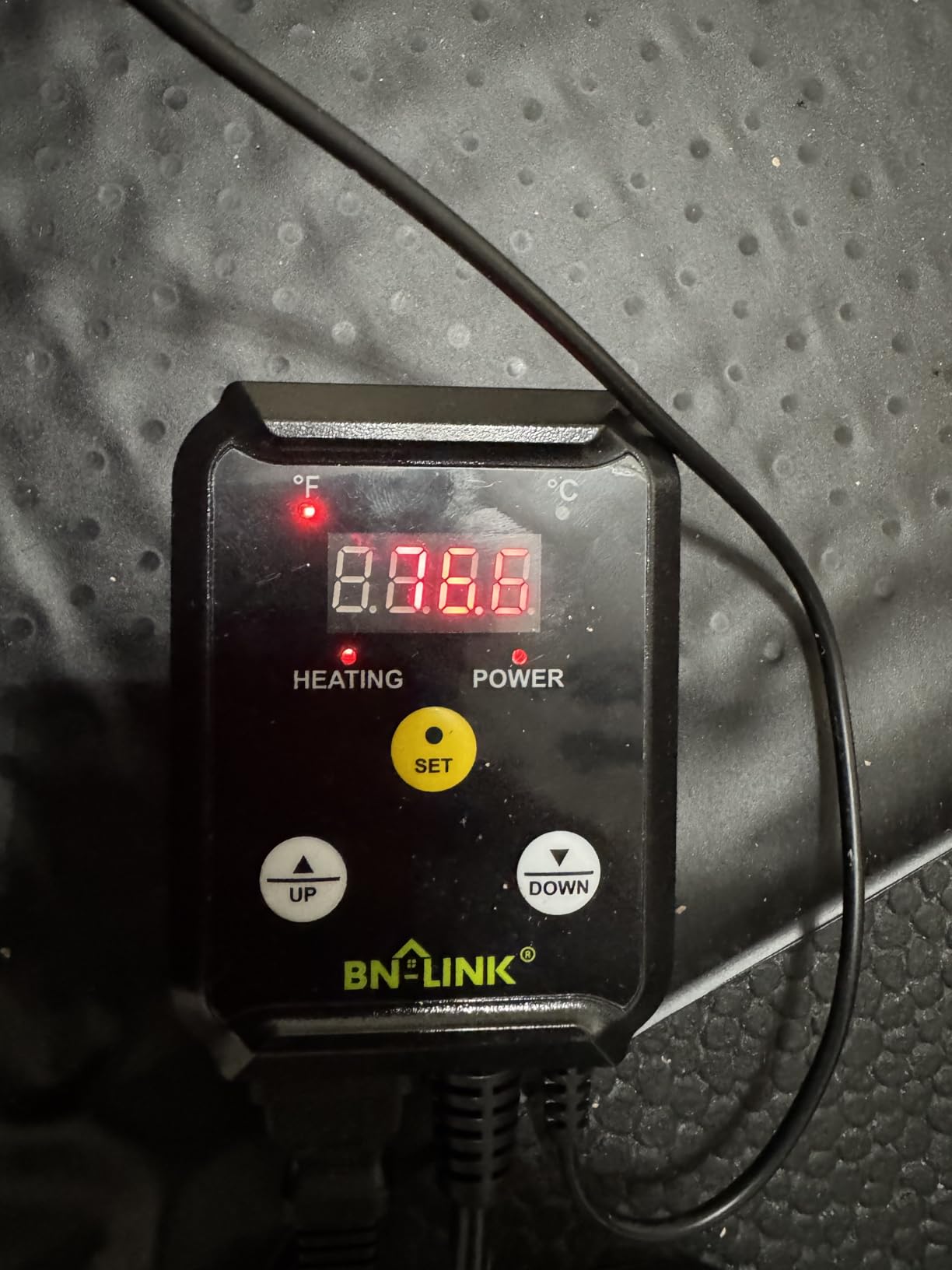 BN-LINK Reptile Thermostat Temperature Controller, Digital Heat Mat Thermostat for Seed Starting, Plant Germination, Greenhouse, Incubator, Brooder, Brewing, Reptiles Tank, 40-108°F, 1000W, ETL Listed customer photo 2
