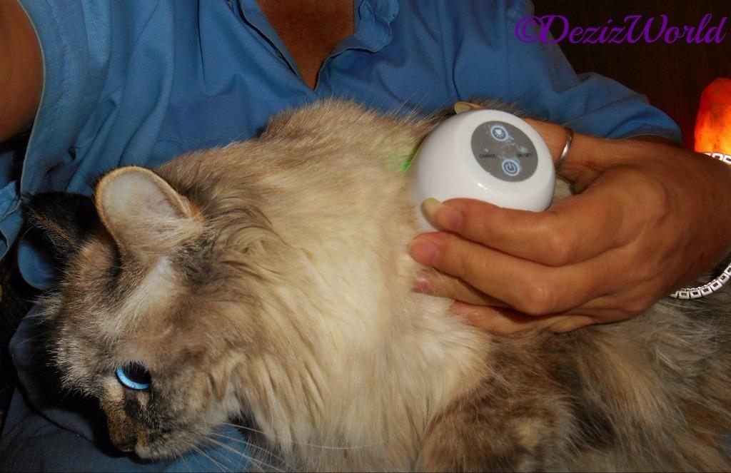 LumaSoothe Light Therapy for Dogs and Pets - LED Light Therapy for Pain Relief, Muscle & Joint Pain, Reduce Inflammation, Heal Wounds, & Clear Skin Problems with 2 Therapy Modes customer photo 1