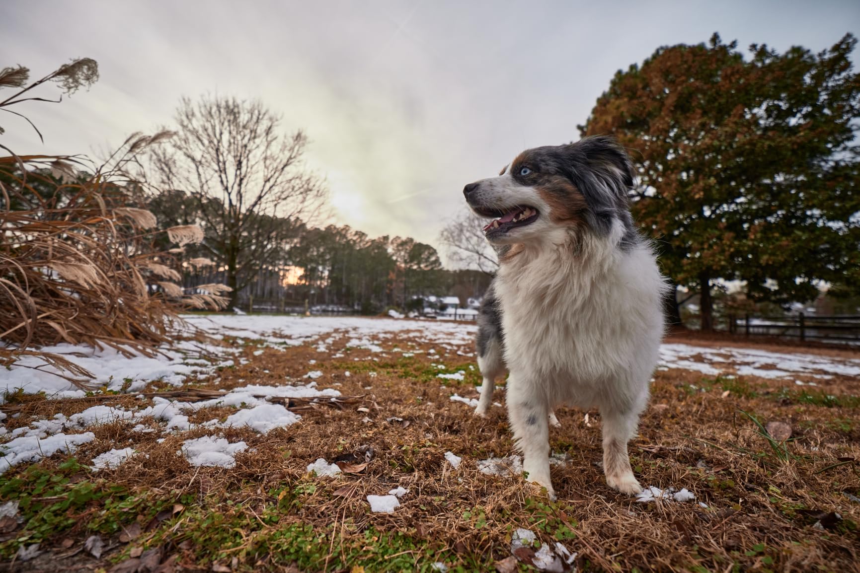 Rokinon AF 14mm F2.8 Ultra Wide Lens for Sony E Full Frame and APS-C - Autofocus, Built-in Hood, UMC Coating, Compact Design, Aspherical Elements, Low Light, Landscape, Travel Photography customer photo 2