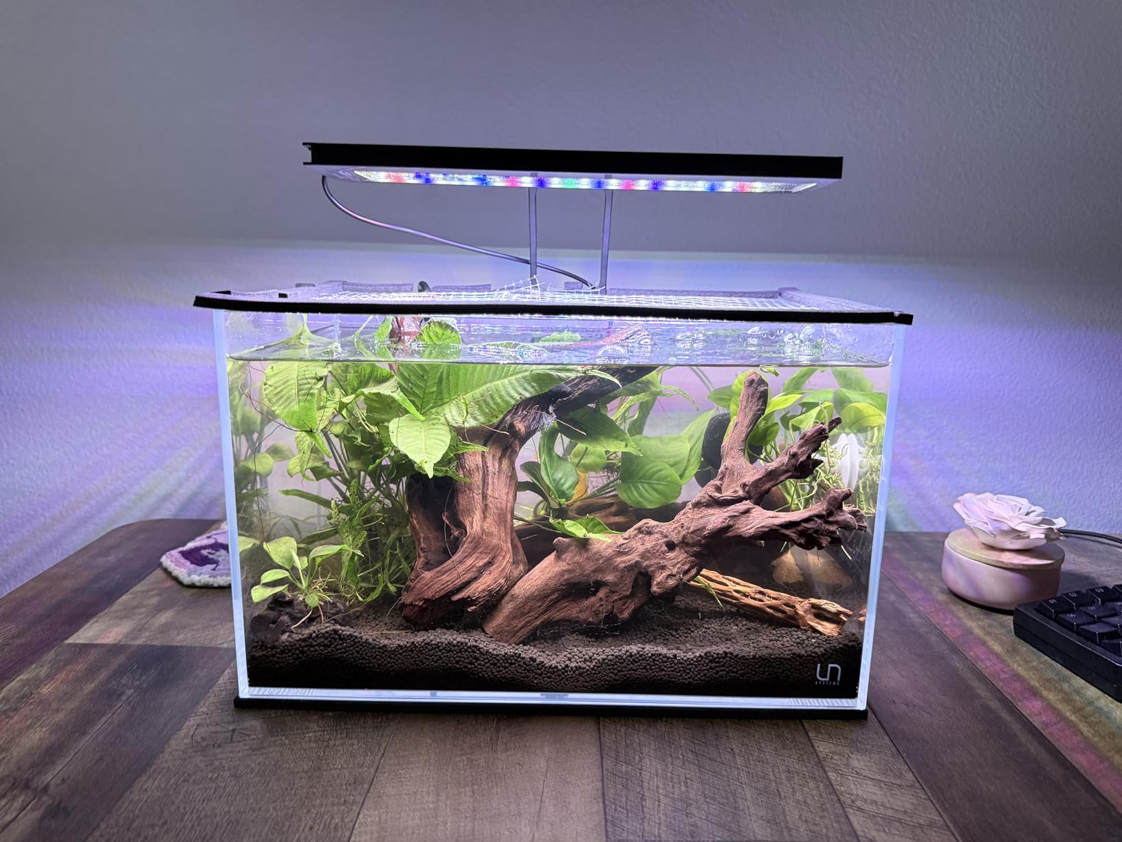 Ultum Nature Systems Ultra Clear Rimless Aquarium - Low Iron Glass Fish Tank with 45° Mitered Edges, 5mm-12mm Thick, Leveling Mat Included (3N, Nano, 3 Gallon) customer photo 2
