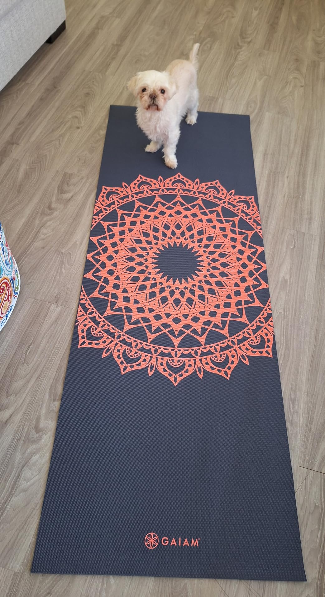Gaiam Print Yoga Mat, Non Slip Exercise & Fitness Mat for All Types of Yoga, Pilates & Floor Exercises customer photo 1