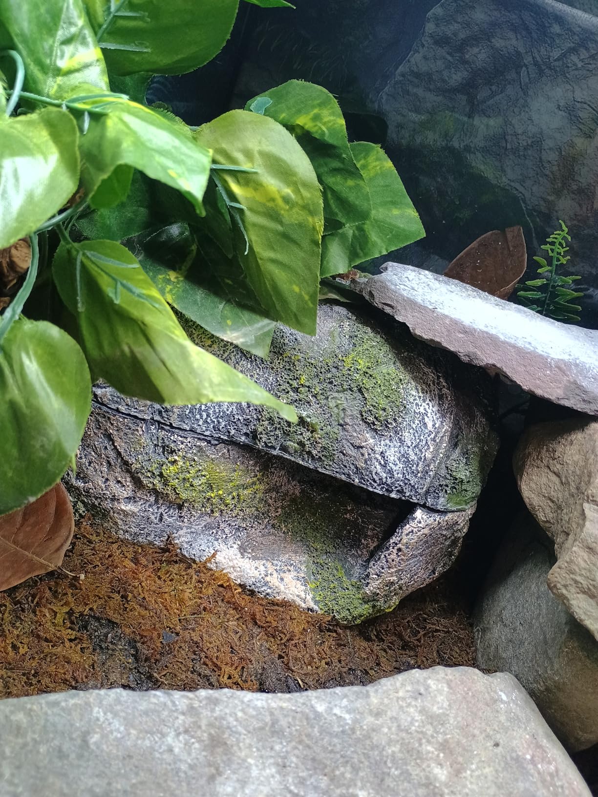 Zilla Pet Terrarium Rock Lair, Reptile Hide for Lizards, Geckos and More, Small customer photo 2