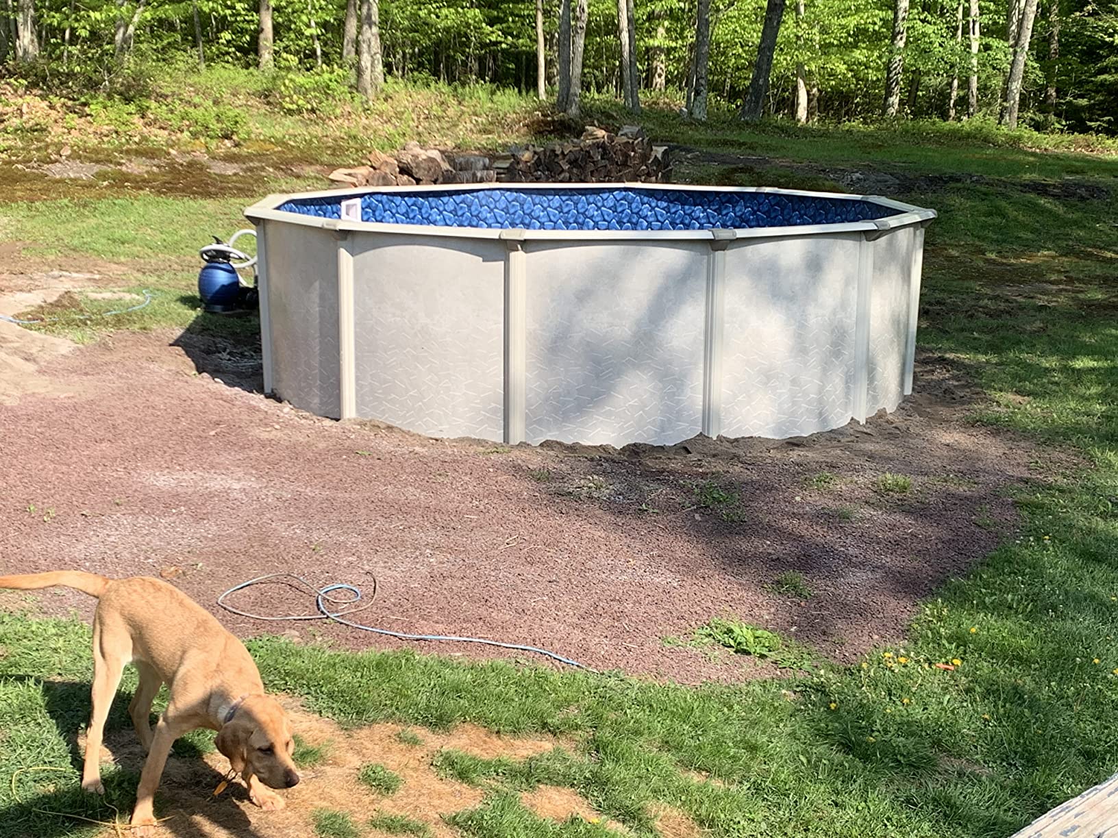Aquarian Above Ground Pool Kit w/Pump & Leaf Skimmer, Phoenix Steel-Frame, 21', Transparent - Large Heavy-Duty Outdoor Family Swimming Pool for Backyard, Patio, and Yard customer photo 1