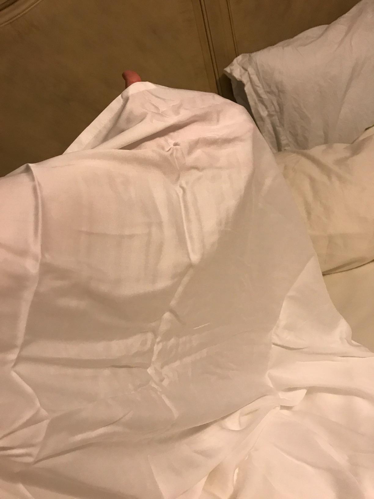 Hotel Sheets Direct 4 Piece Bed Sheet Set Queen Size, 100% Viscose Derived from Bamboo Sheets Set with 2 Pillowcases, Cooling & Breathable Luxury Bedding, Moisture-Wicking & Silky Soft Texture, White customer photo 1