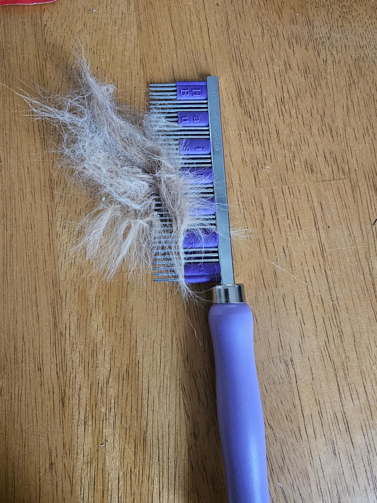 Small Pet Select - Hair Buster Comb for Rabbits, Cats and Dogs, Metal Pet Comb for Shedding and Detangling, Grooming Tool for Small Pets with Long and Short Fur customer photo 1