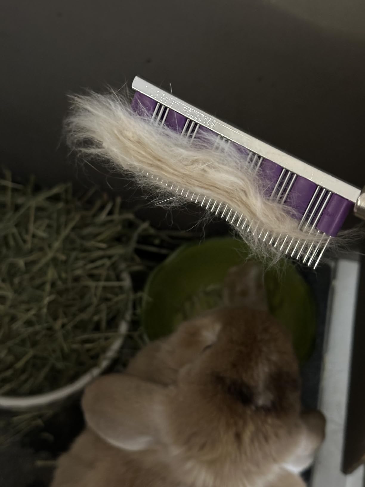 Small Pet Select - Hair Buster Comb for Rabbits, Cats and Dogs, Metal Pet Comb for Shedding and Detangling, Grooming Tool for Small Pets with Long and Short Fur customer photo 2