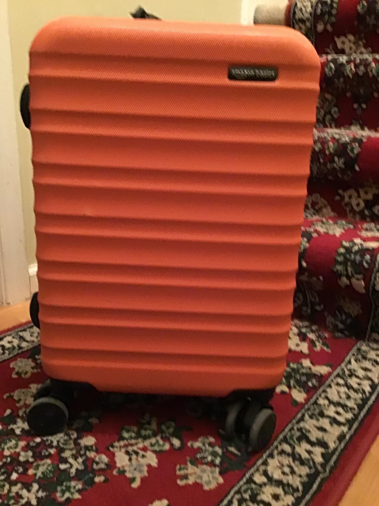 Amazon Basics 30