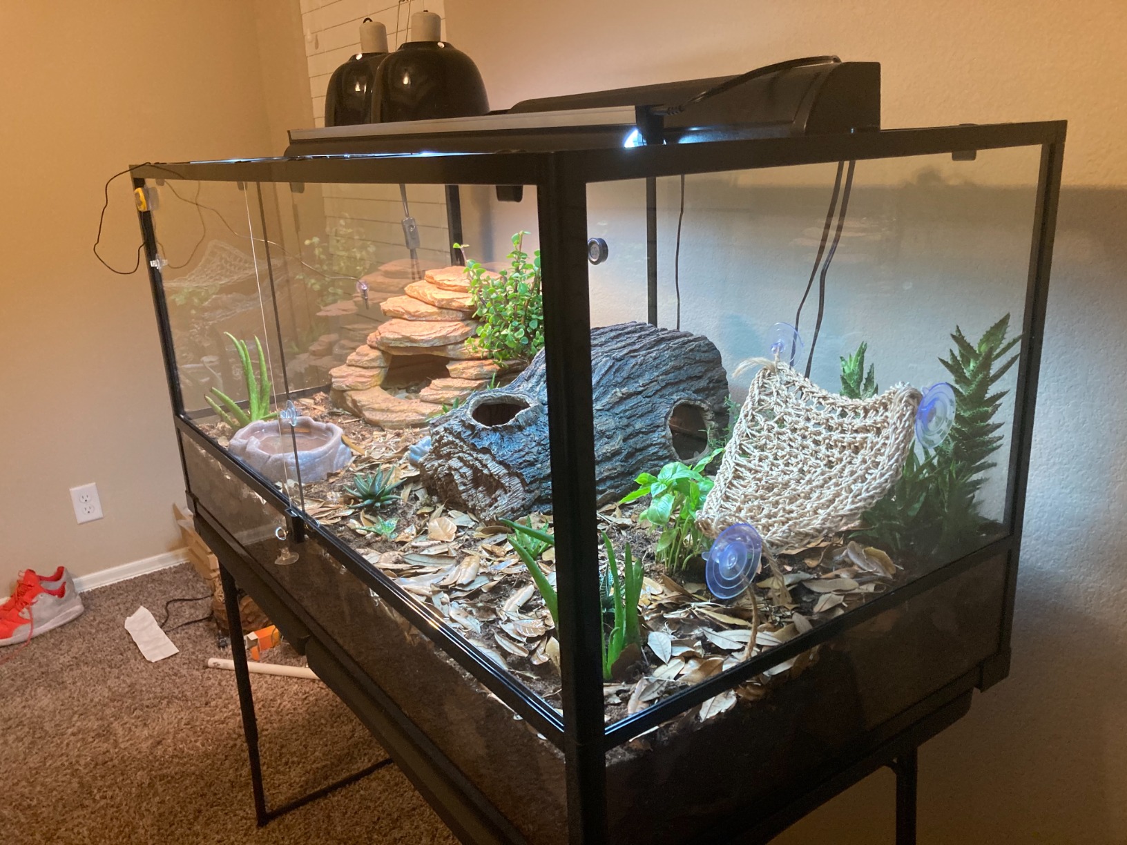 Carolina Custom Cages, 48Lx24Wx24H Tall Extra-Long Deep Terrarium; Easy Assembly customer photo 2
